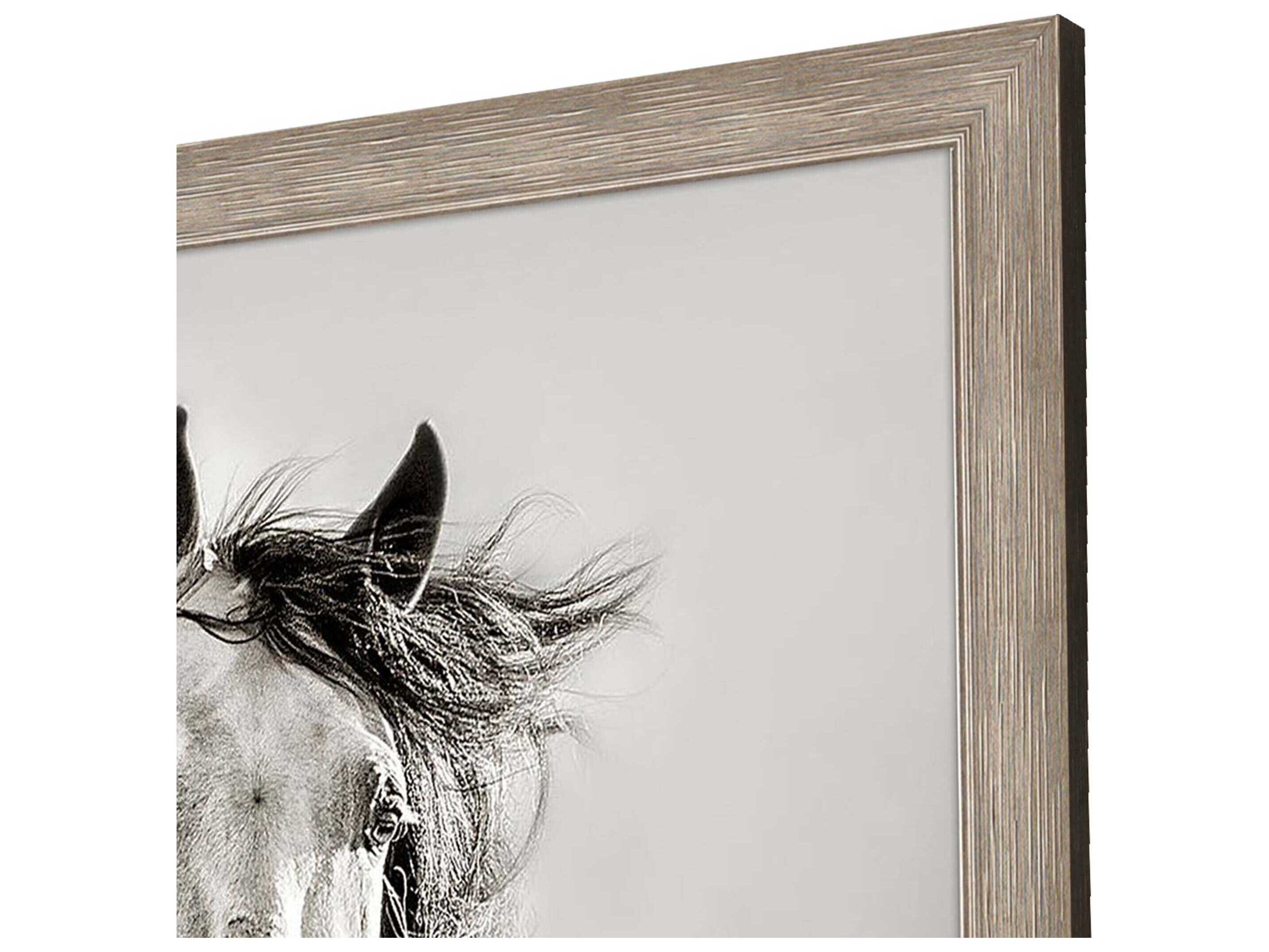 Paragon Animals Caballo de Andaluz Wall Art