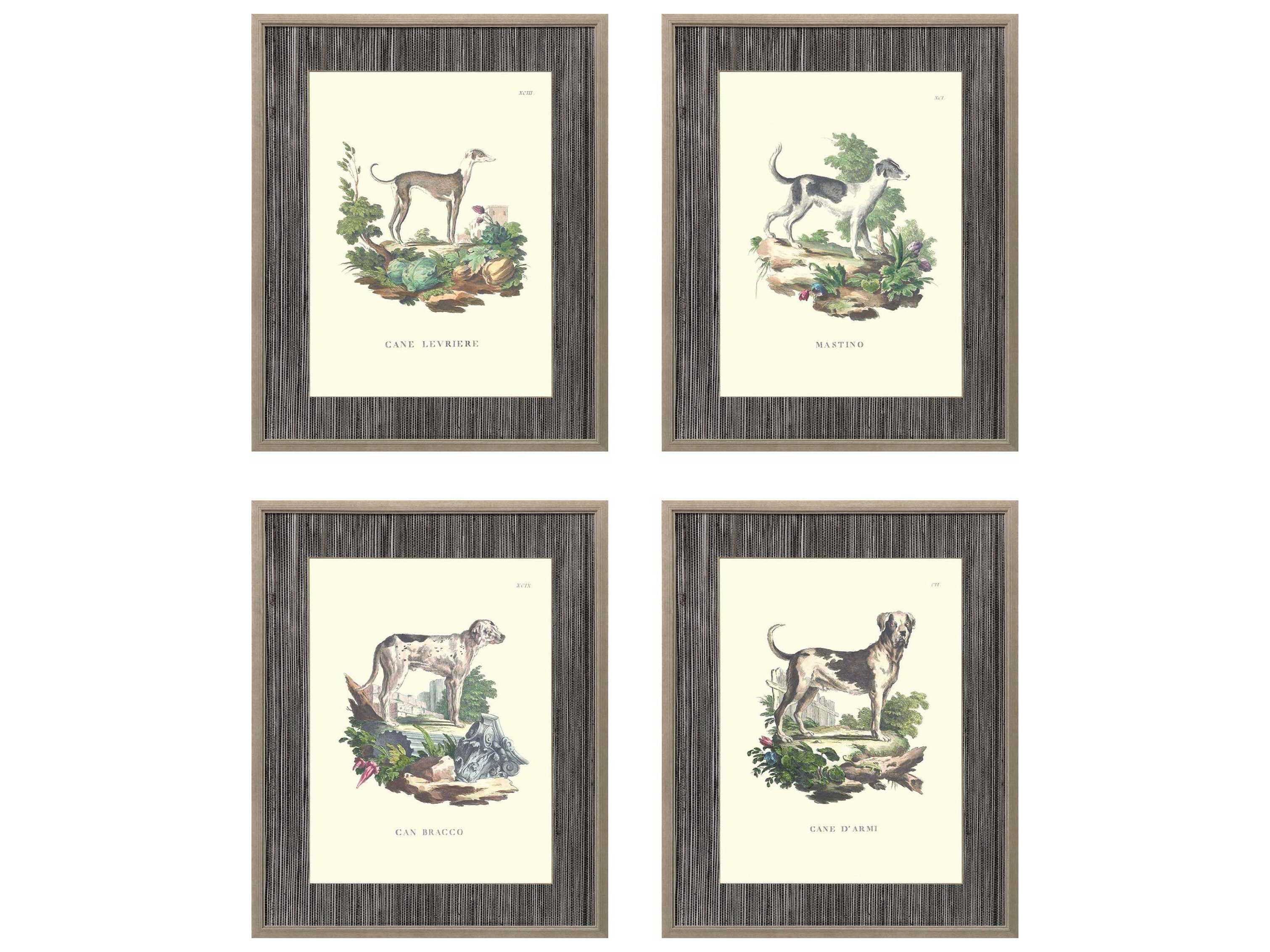 Paragon Animals French Dogs Wall Art Set of 4