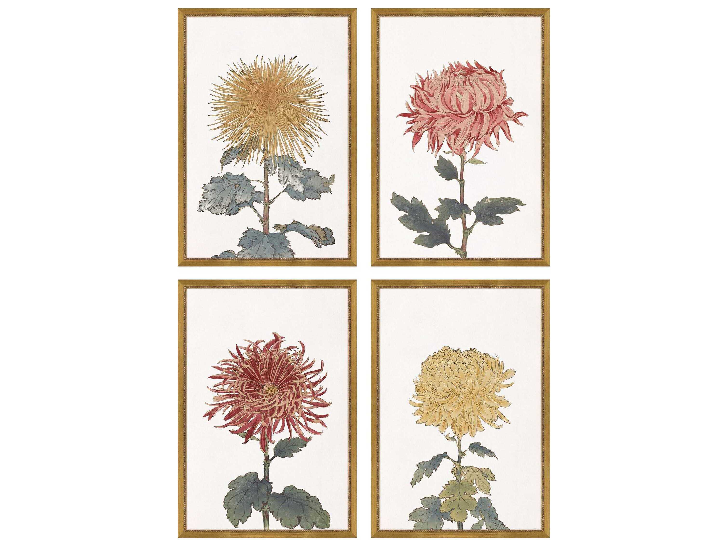 Paragon Florals Chrysanthemum Wall Art Set of 4