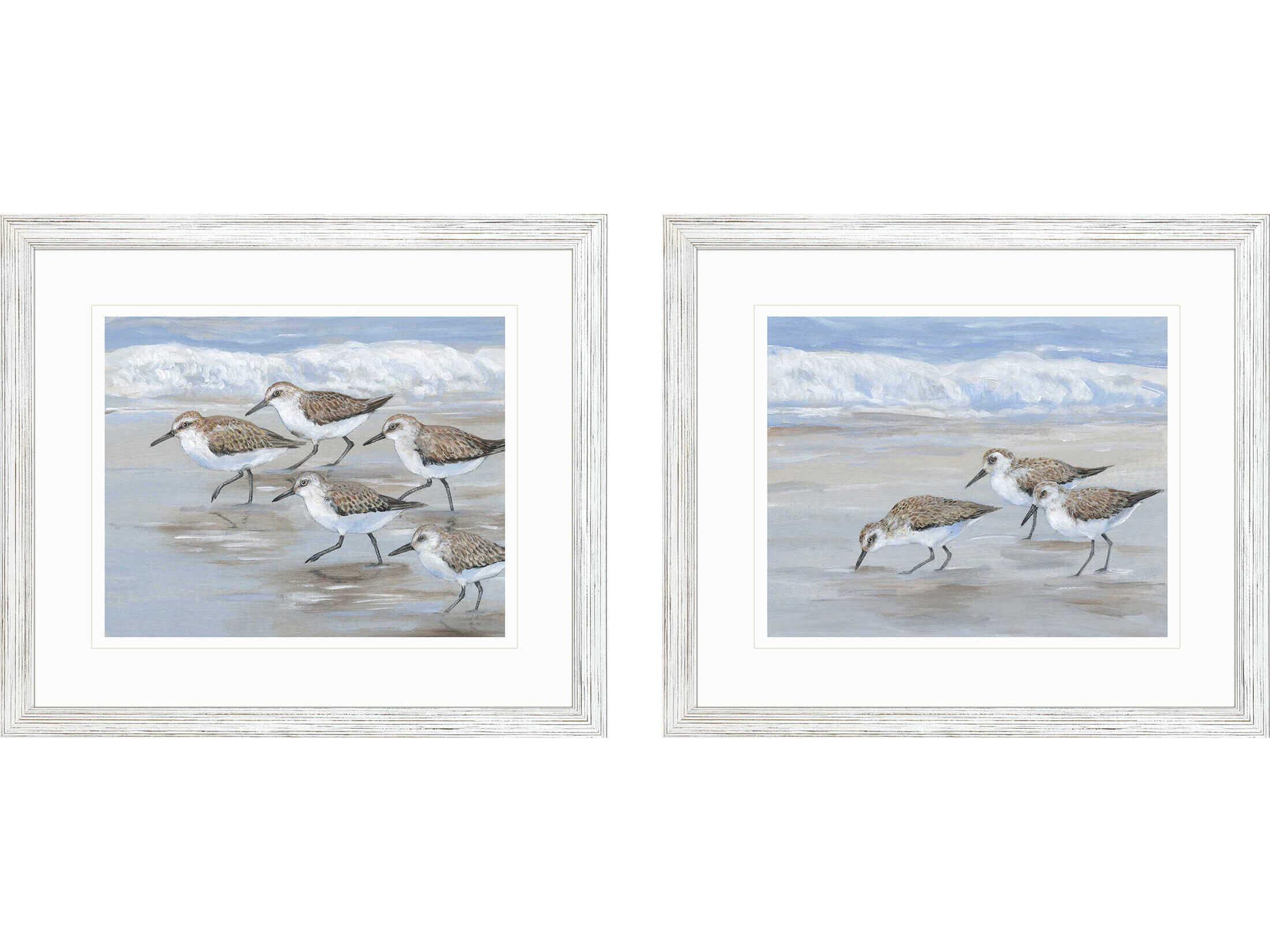 Paragon Animals Sandpipers Wall Art Set of 2