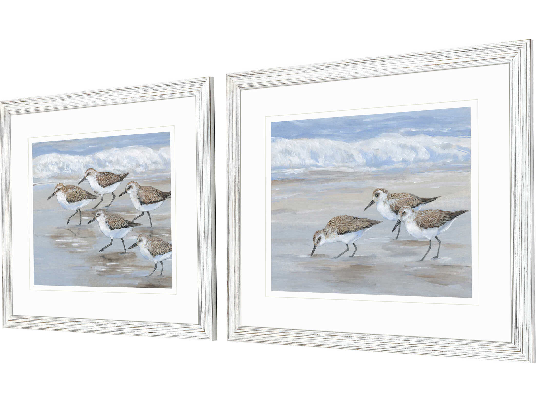 Paragon Animals Sandpipers Wall Art Set of 2