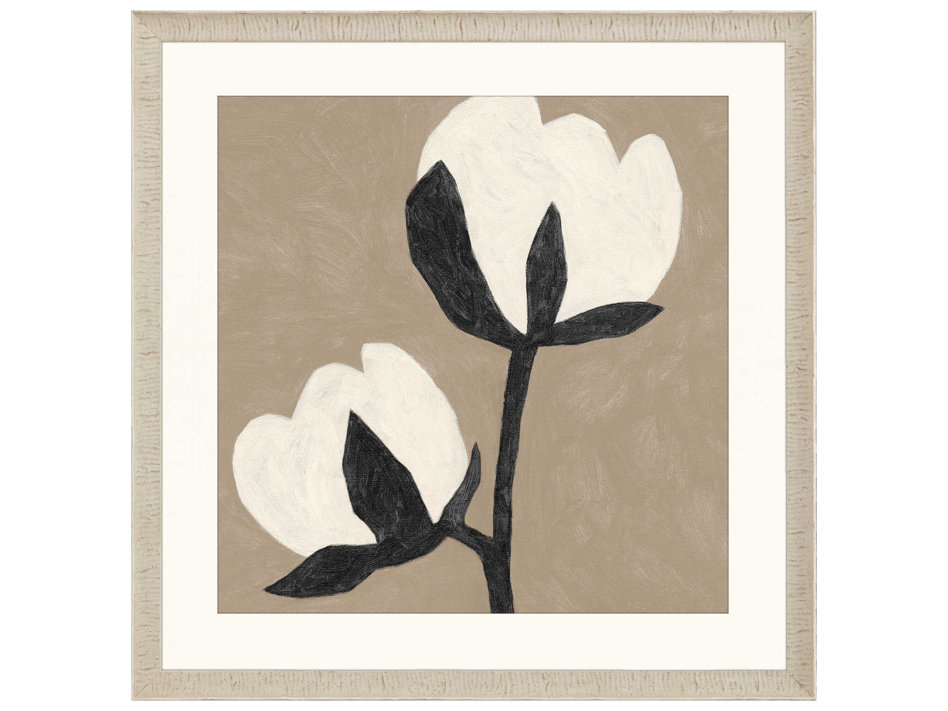Paragon Florals Delicate Sketch Duet Wall Art