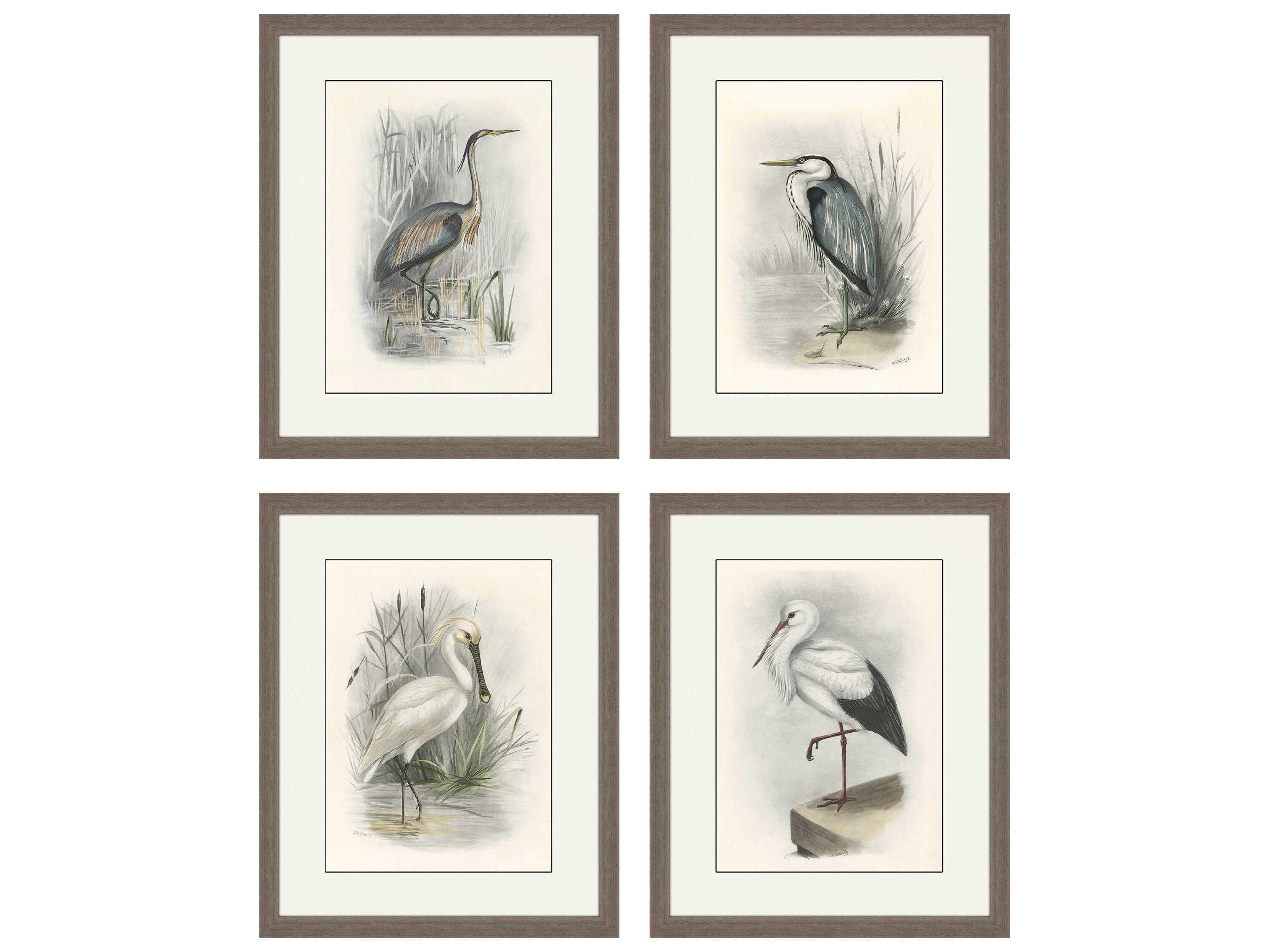 Paragon Animals Birds Wall Art Set of 4