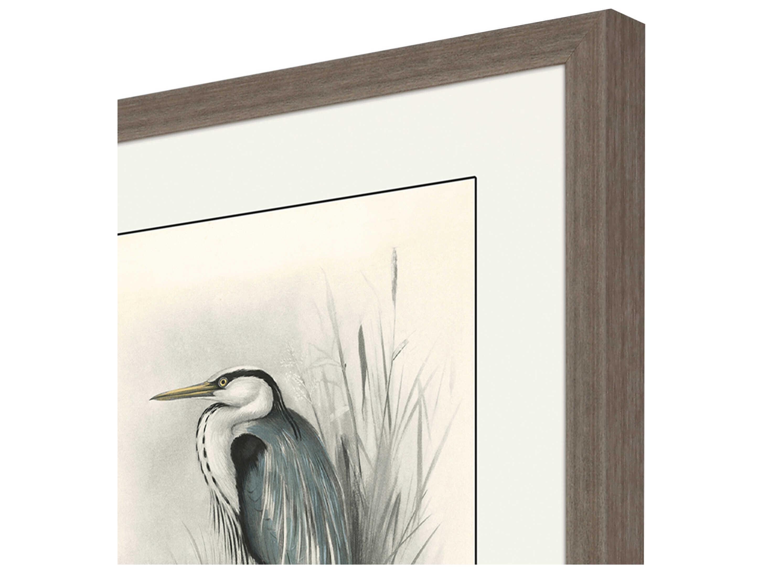 Paragon Animals Birds Wall Art Set of 4