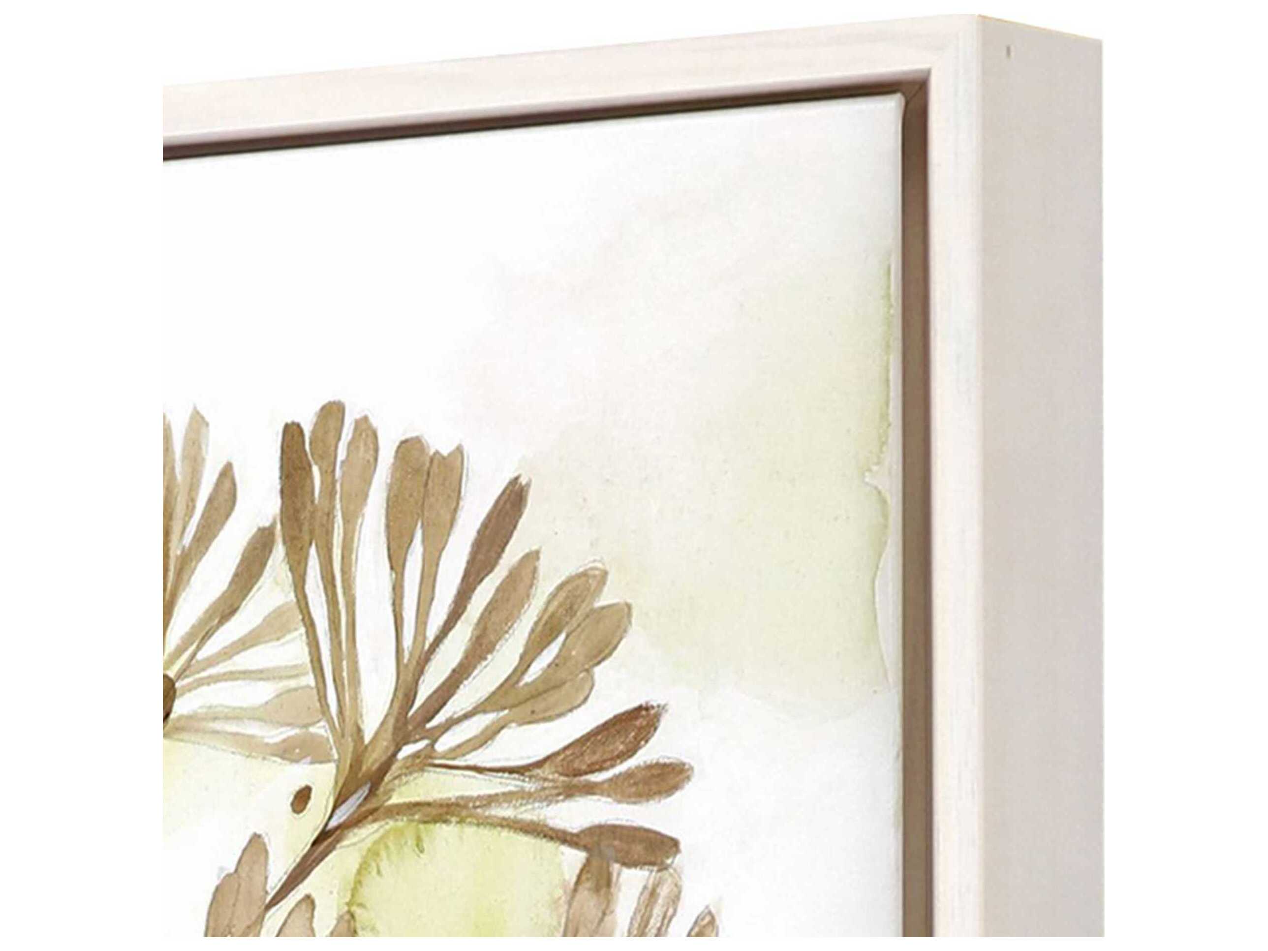 Paragon Florals Dandelion-I Canvas Wall Art