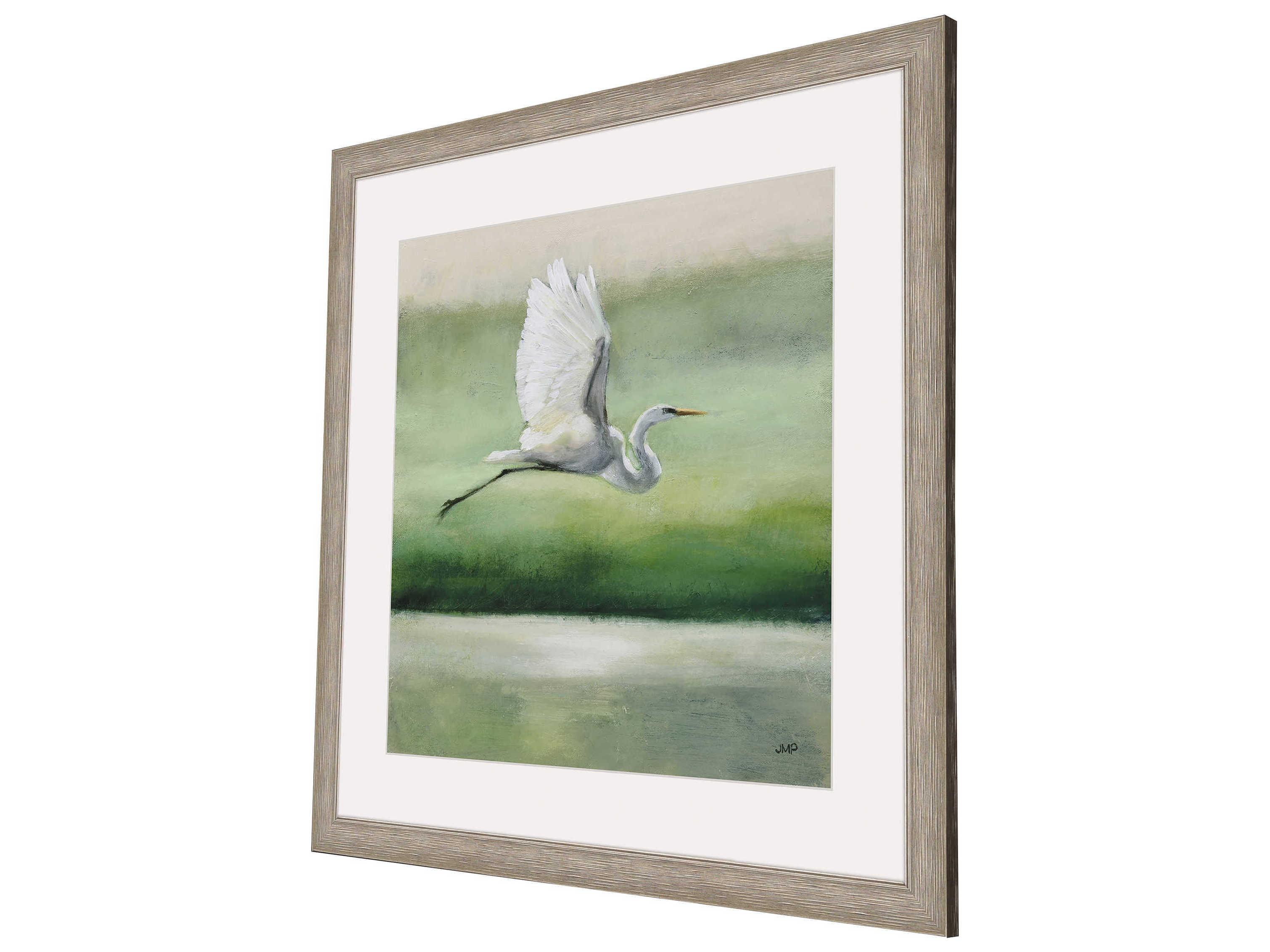 Paragon Flight Framed Art