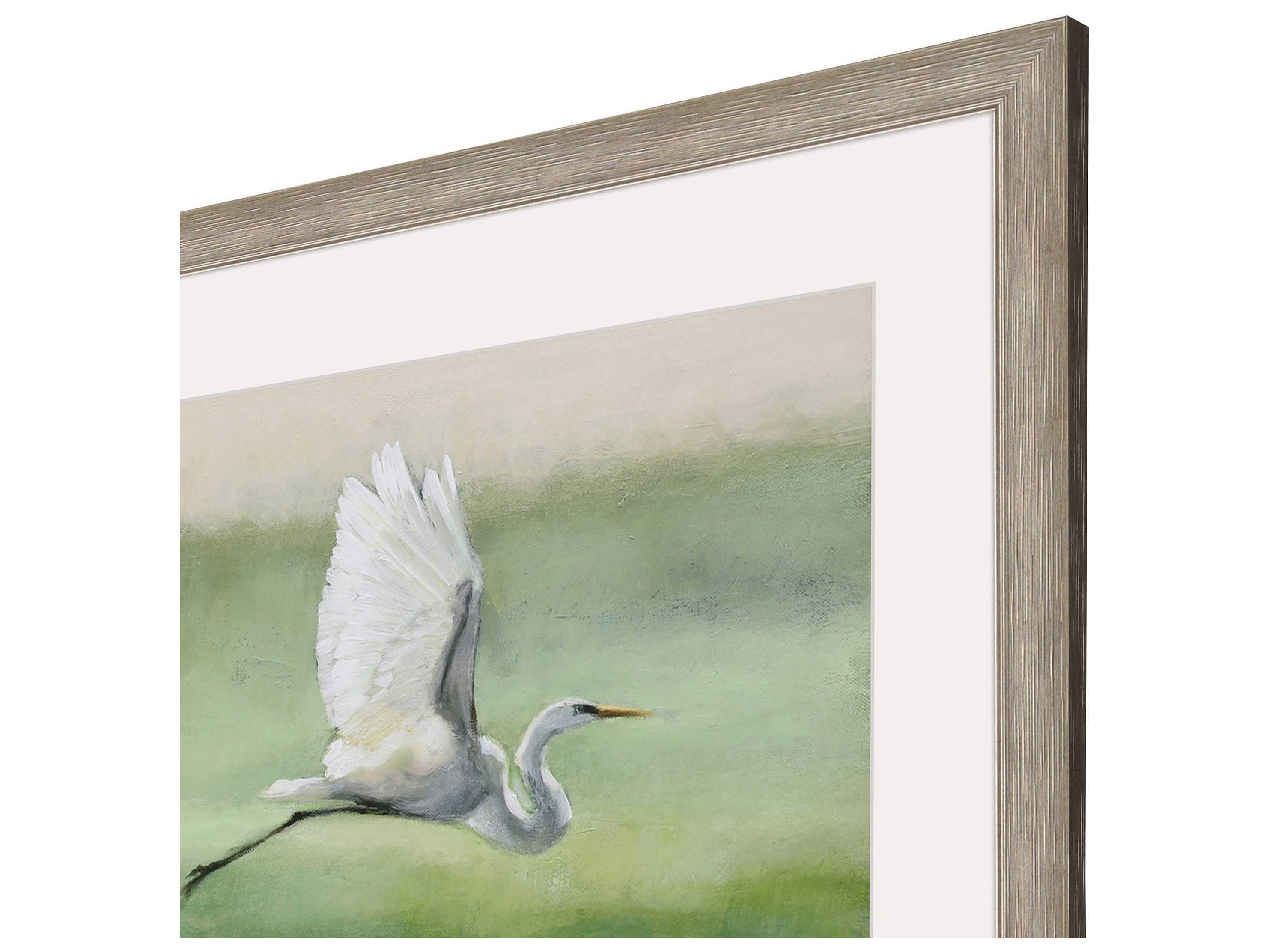 Paragon Flight Framed Art