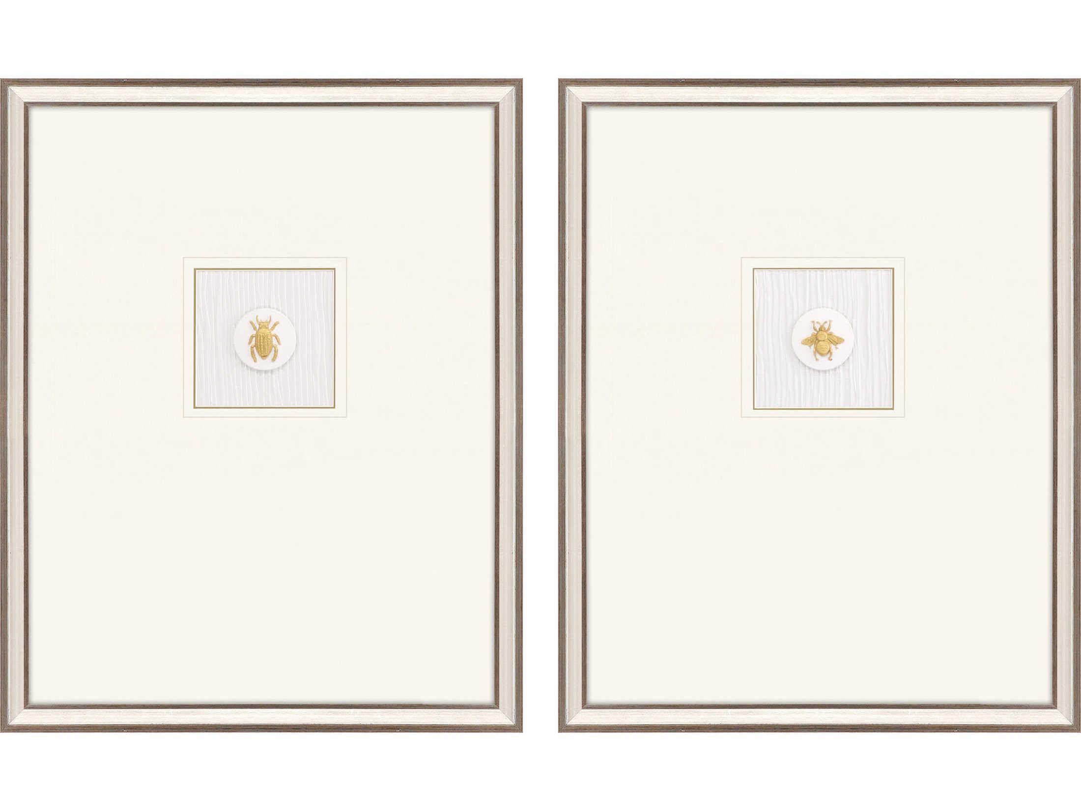 Paragon Animals Black Insect Intaglio-I Wall Art Set of 2