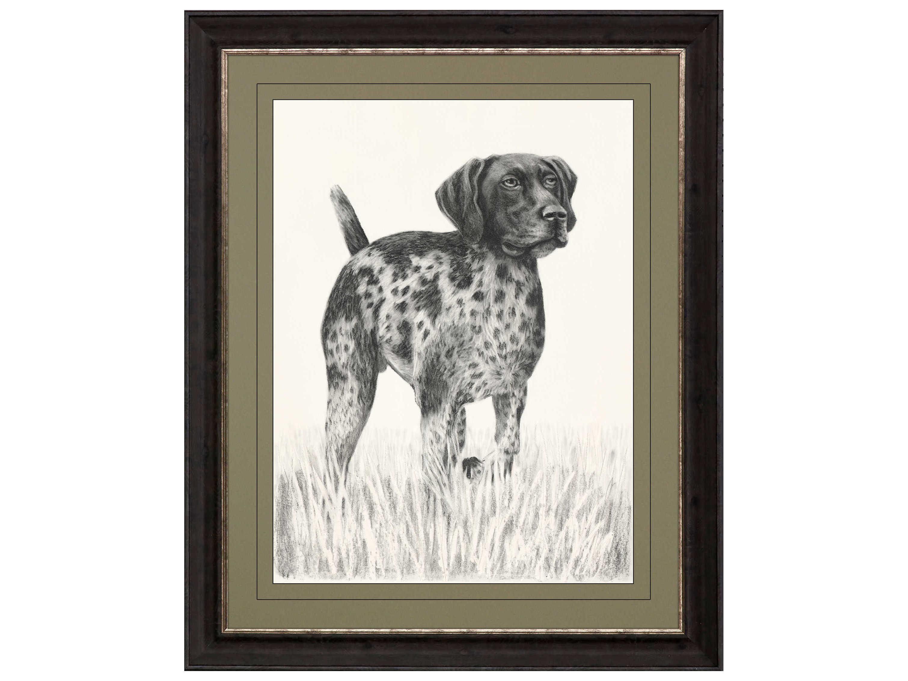 Paragon Animals Green Canine Gaze Wall Art