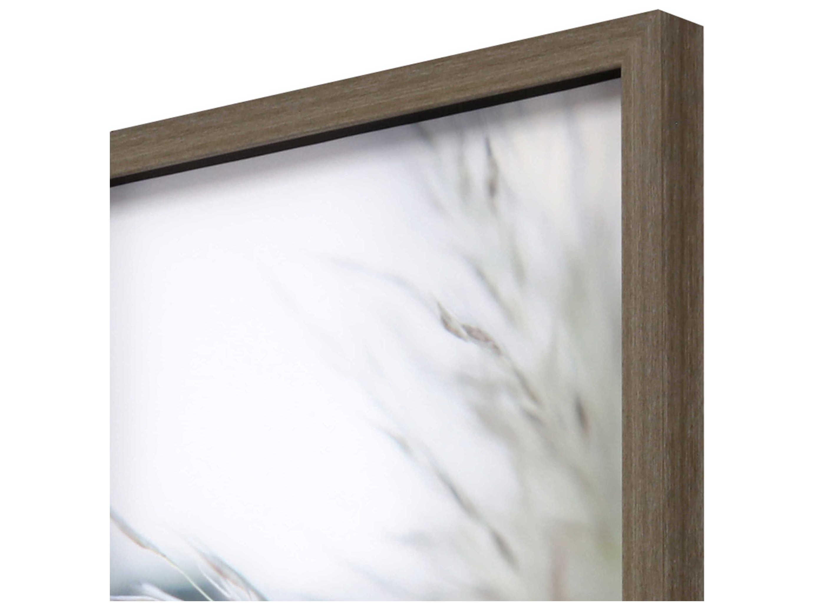 Paragon Florals Blakc Subtle Grasses Wall Art Set of 4