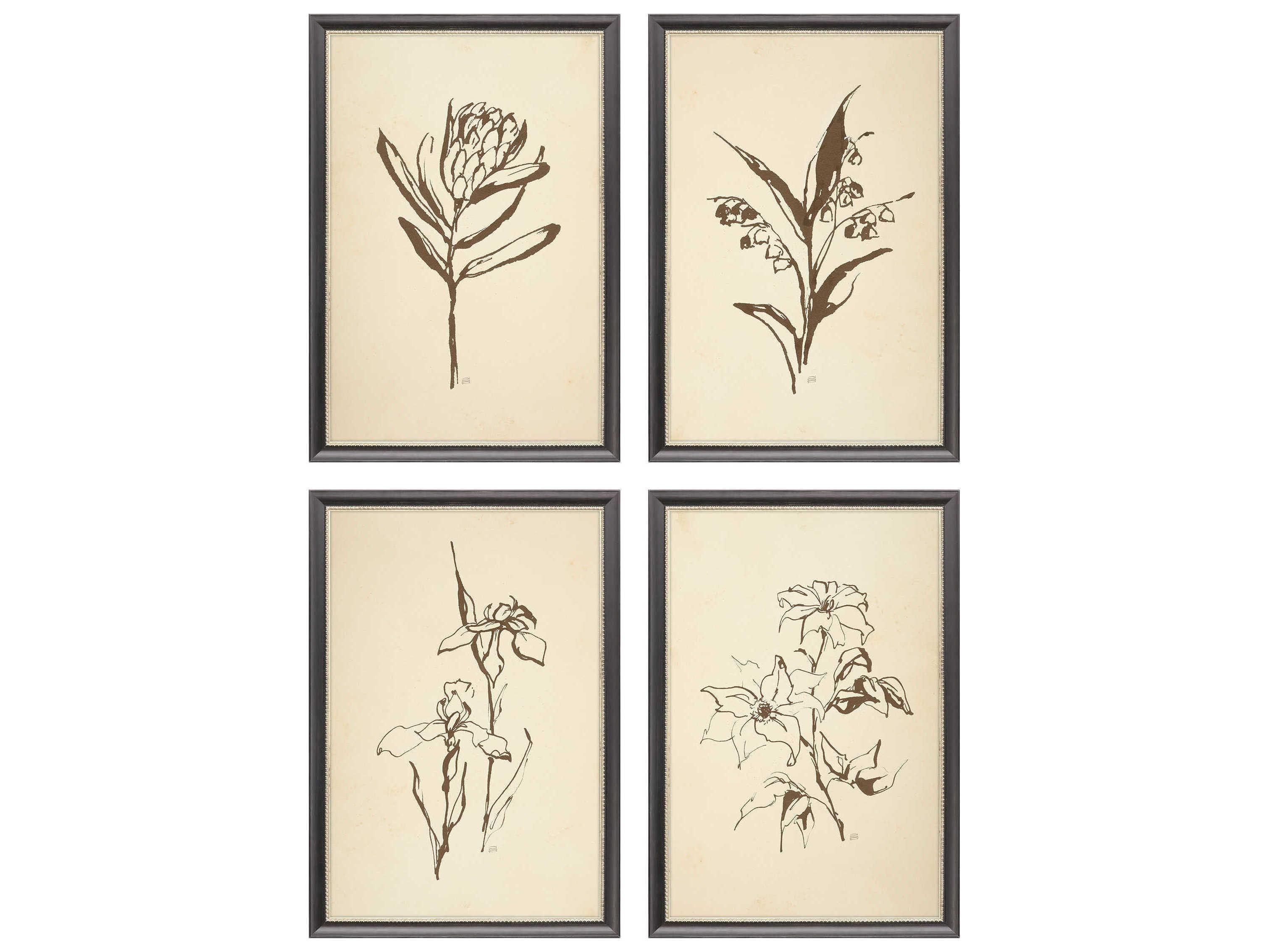 Paragon Florals Vintage Line Wall Art Set of 4