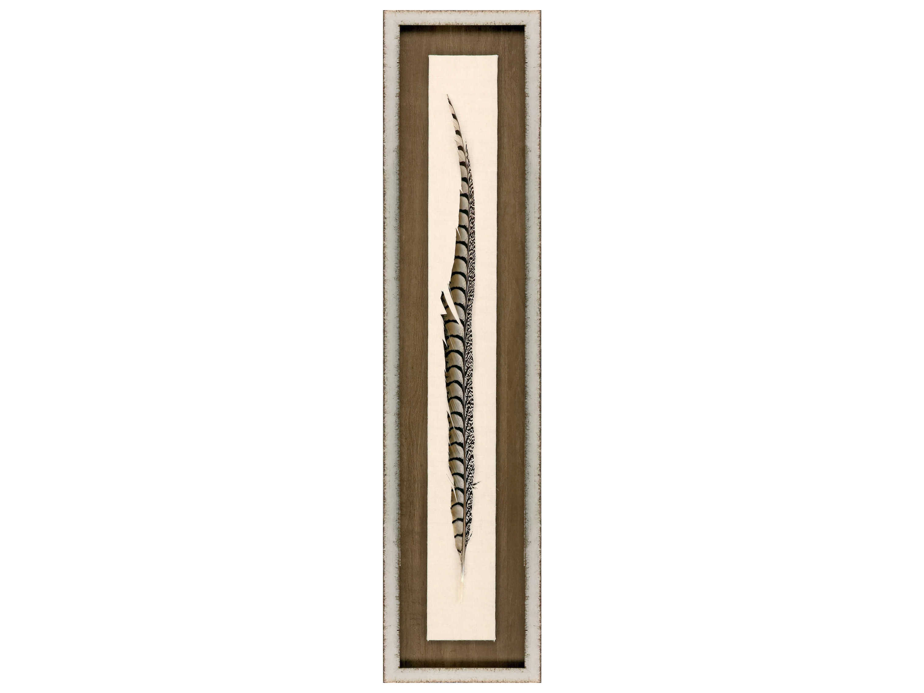 Paragon Lady Amhurst Feather Shadow Box