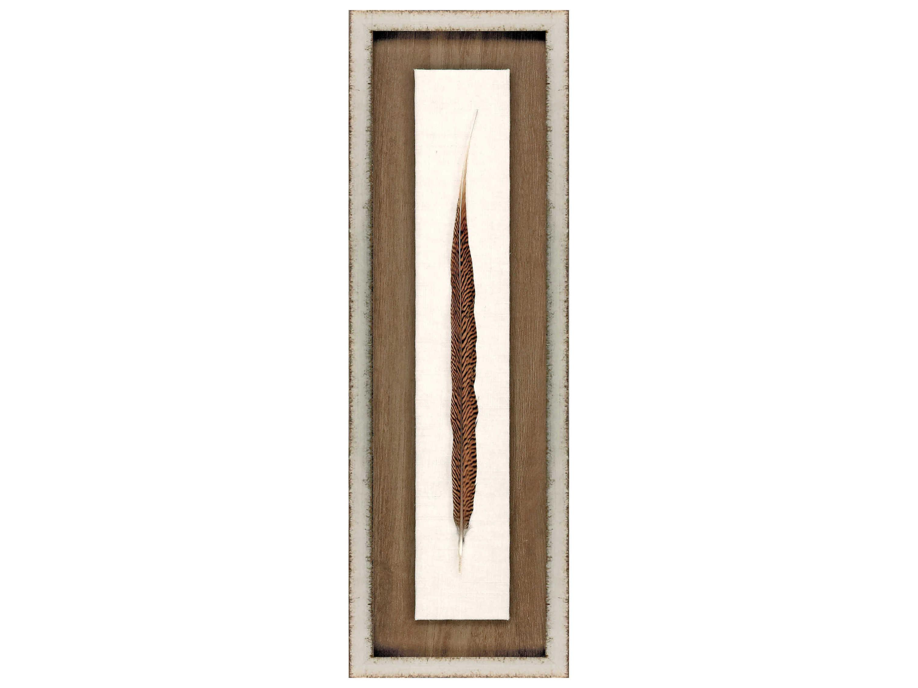 Paragon Pheasant Feather Shadow Box