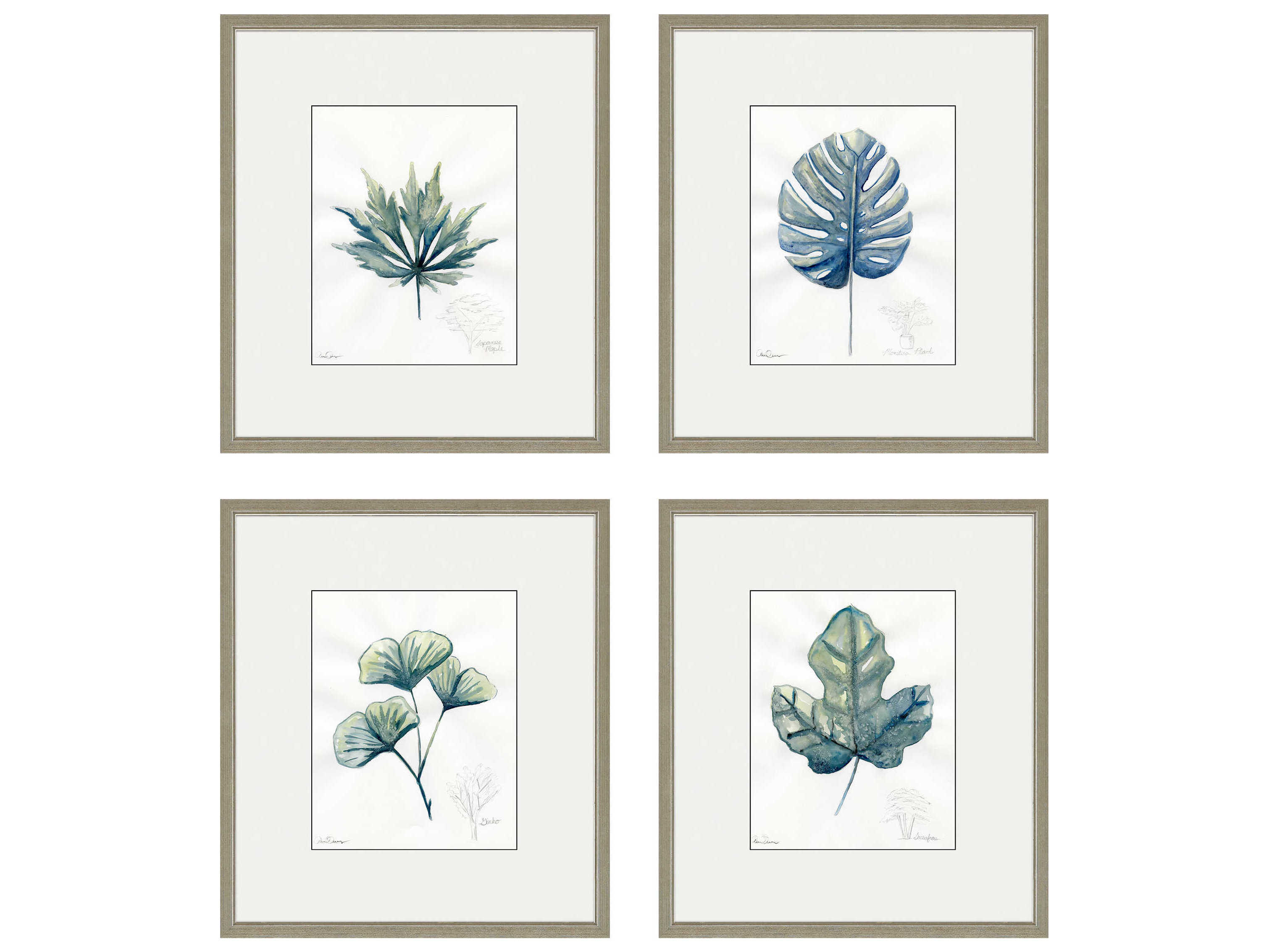 Paragon Plant Drawings Wall Art Set of 4