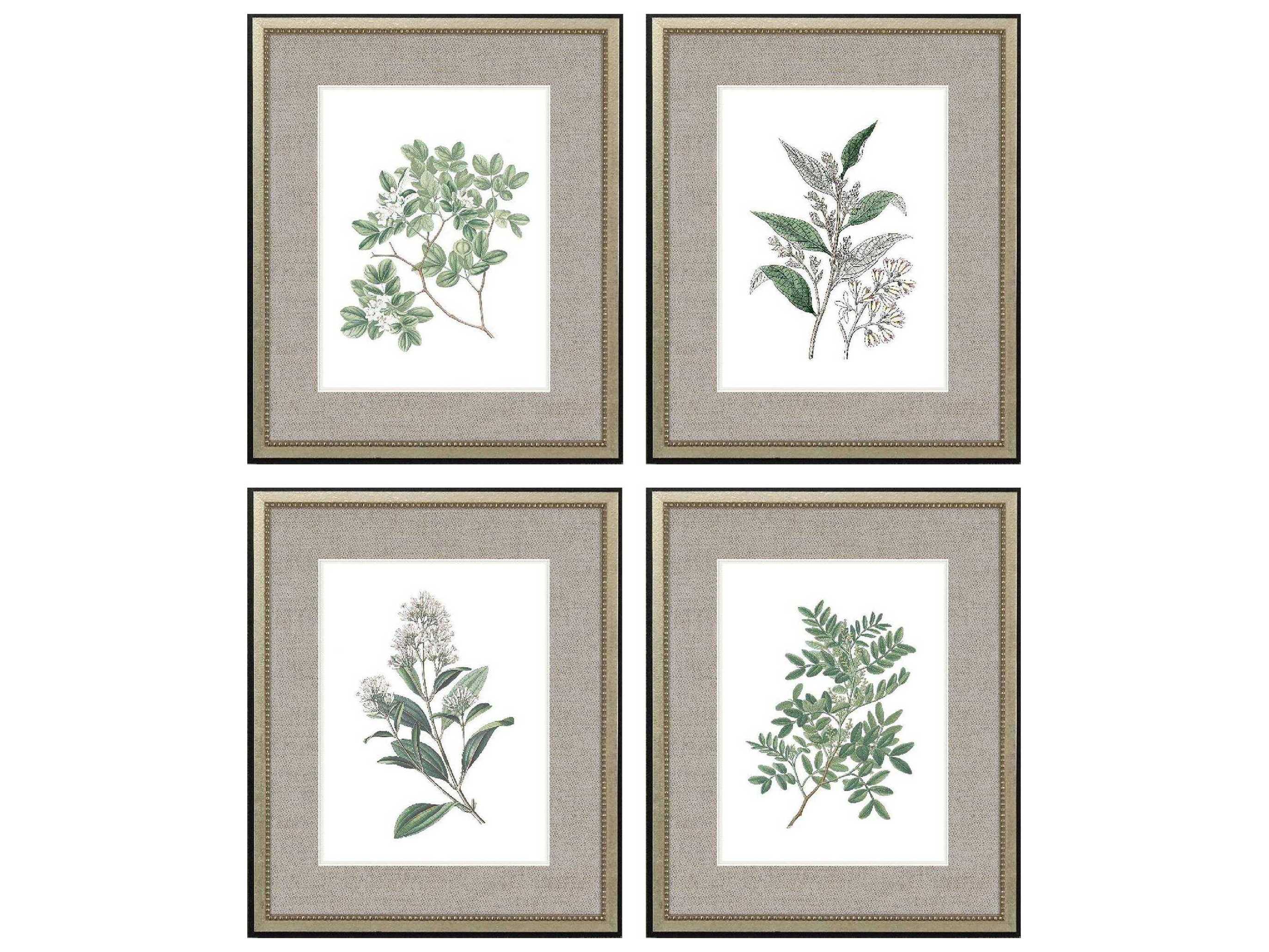 Paragon Florals White Flowers Wall Art Set of 4
