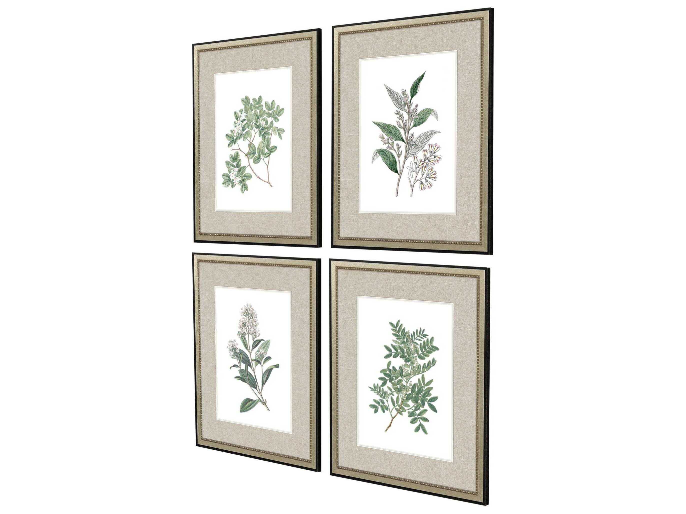 Paragon Florals White Flowers Wall Art Set of 4