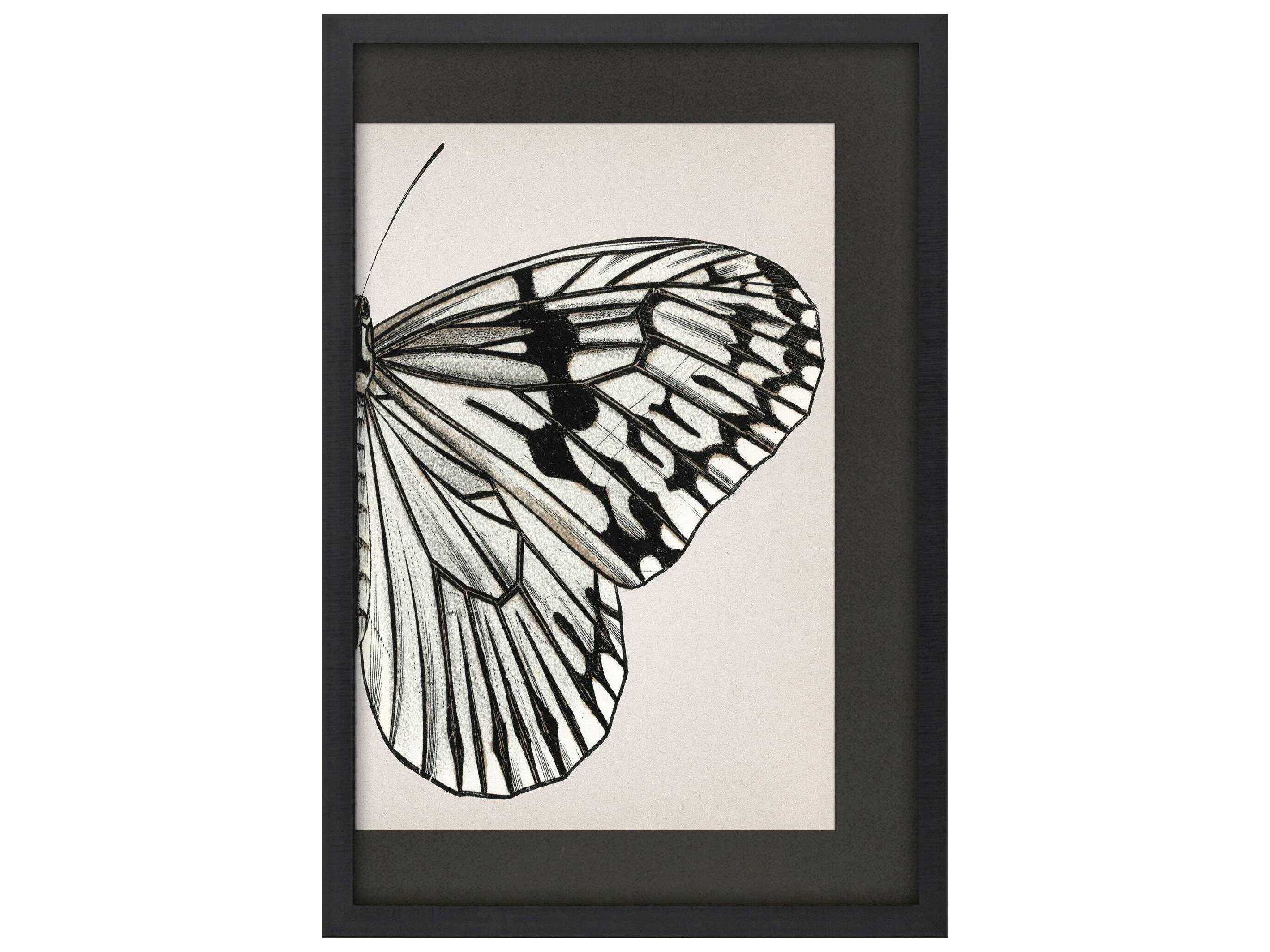 Paragon Animals Grand Butterfly-II Wall Art