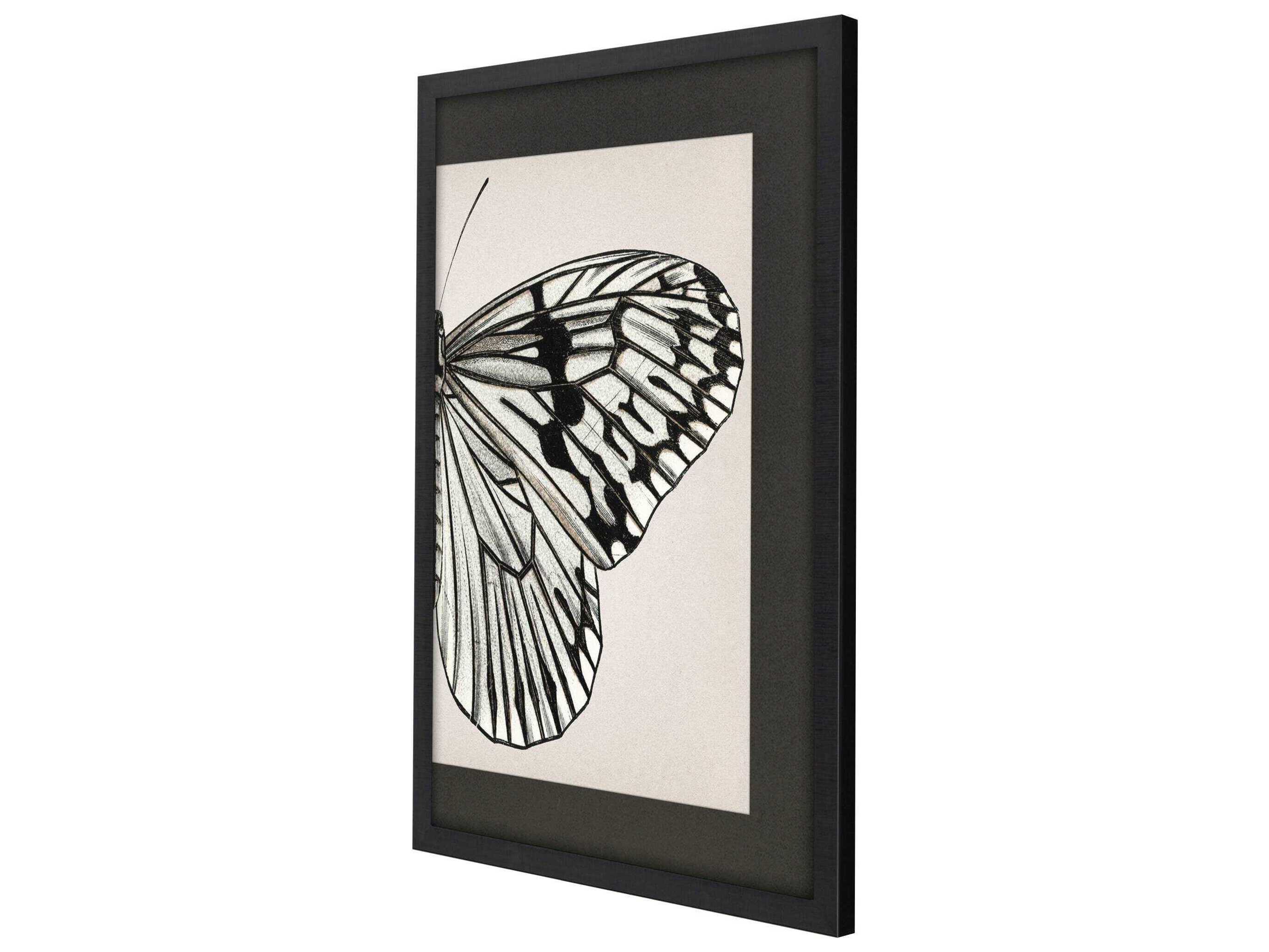Paragon Animals Grand Butterfly-II Wall Art