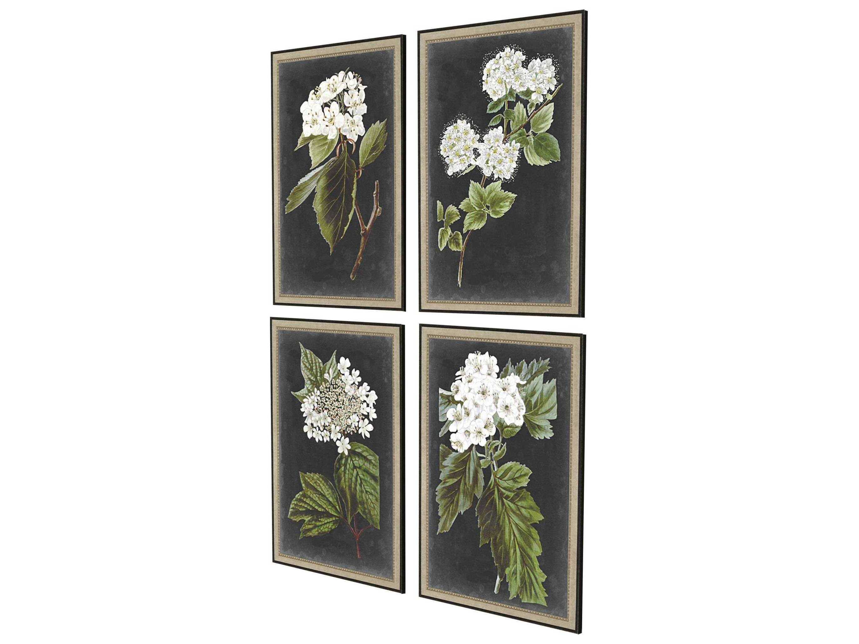 Paragon Florals Dramatic White Flower Wall Art Set of 4