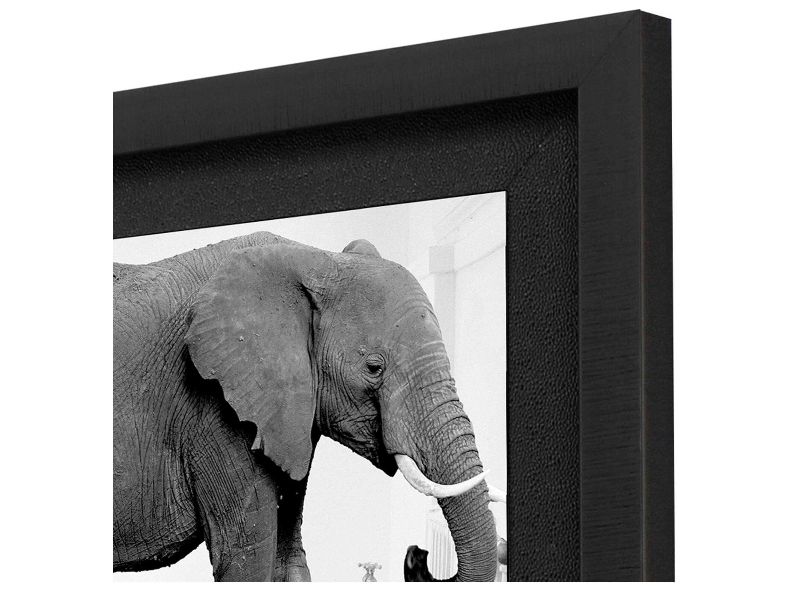 Paragon Animals Safari Bath-II Wall Art Set of 2
