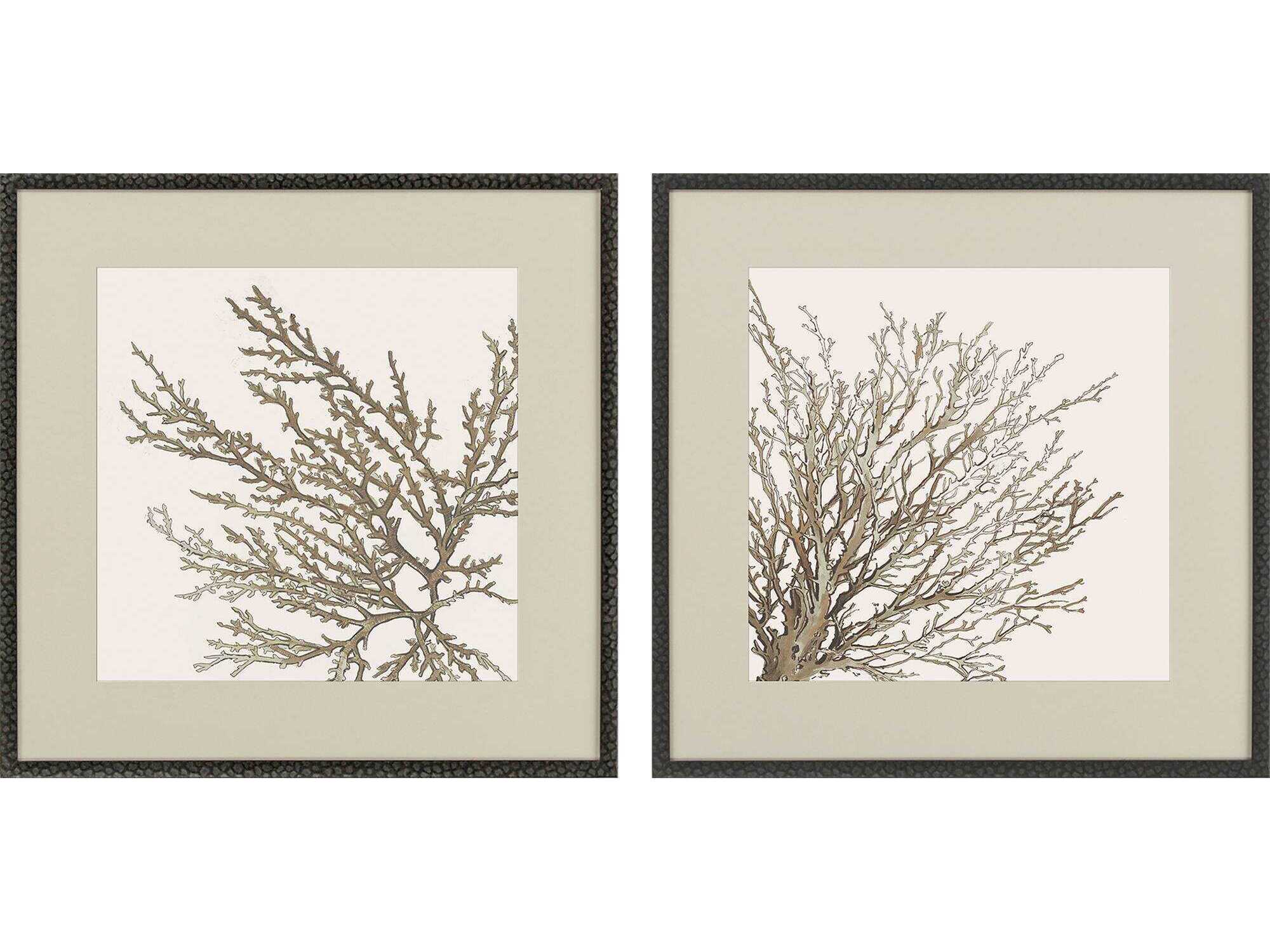 Paragon Naturals Taupe Coral Wall Art Set of 2