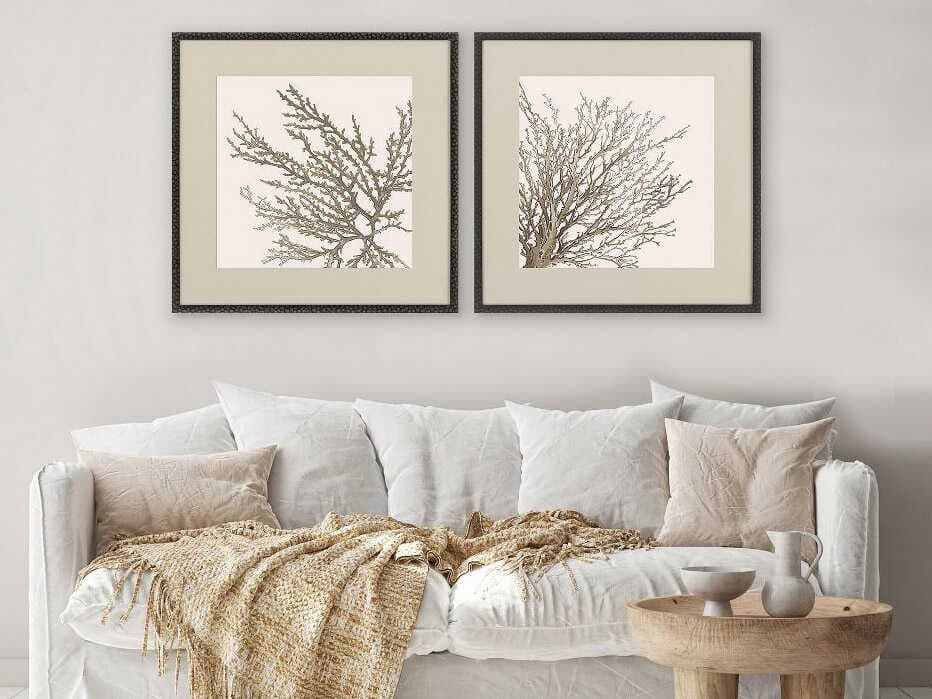 Paragon Naturals Taupe Coral Wall Art Set of 2