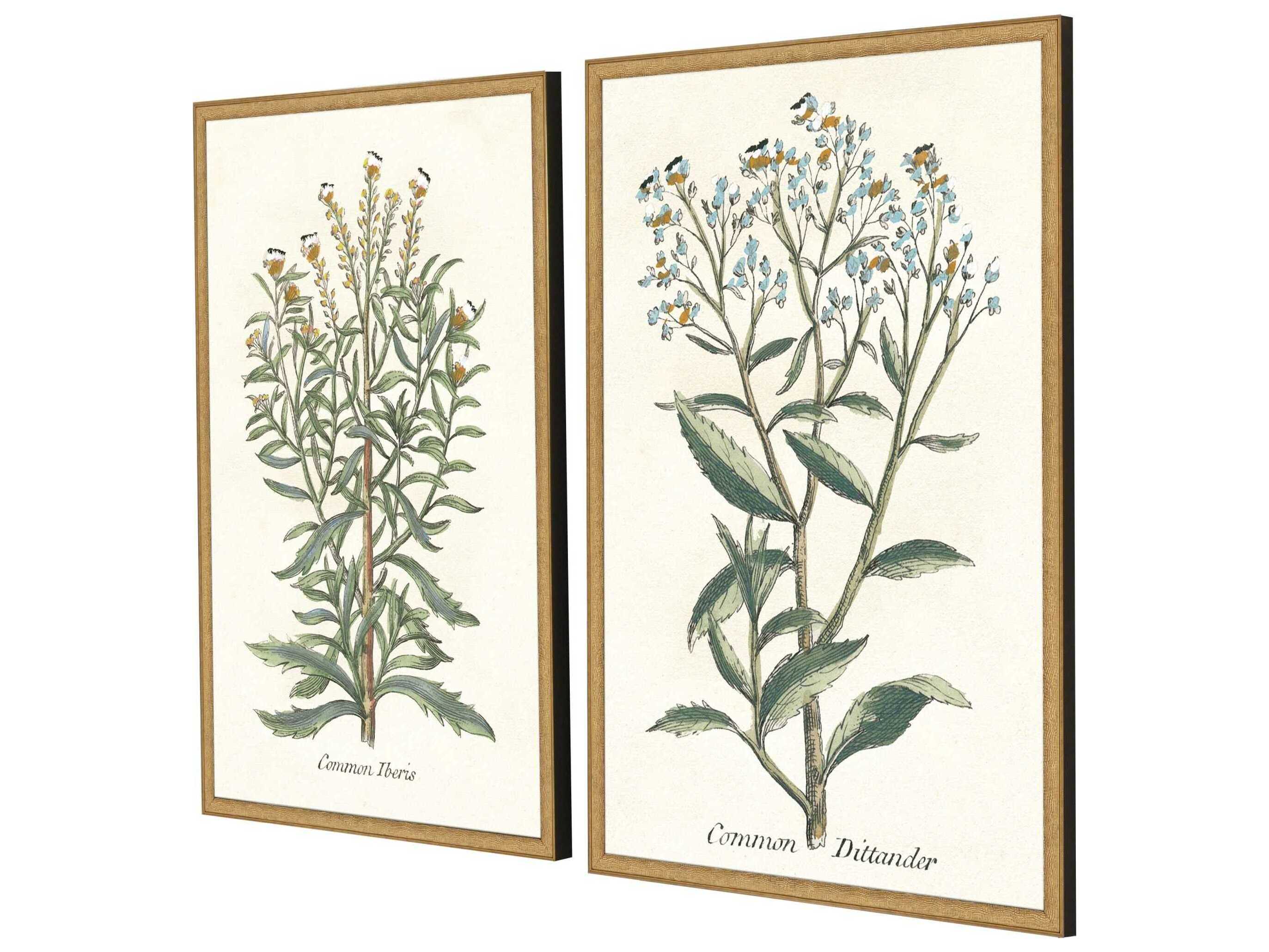 Paragon Florals Botanical Plants-I Wall Art Set of 2