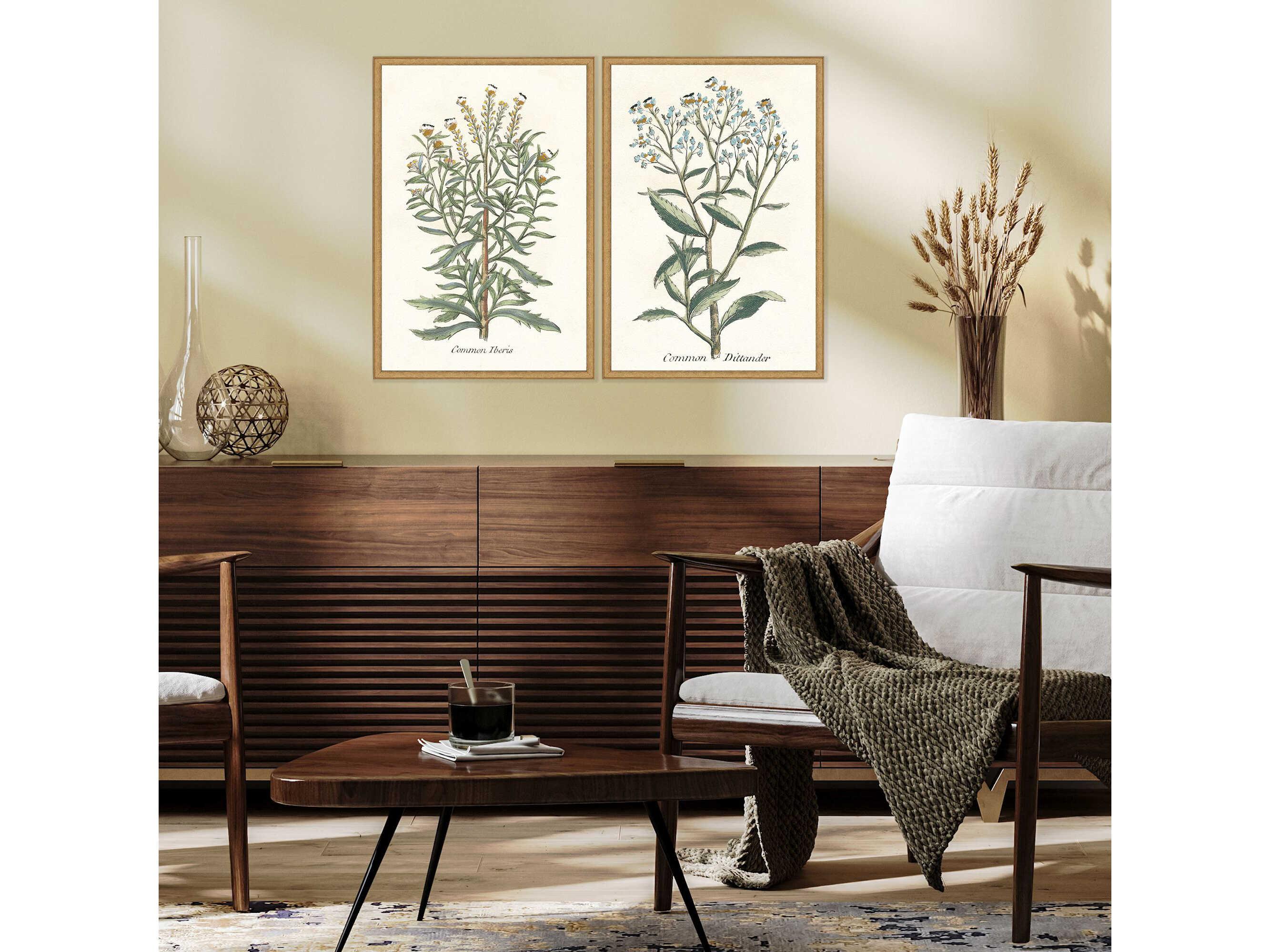 Paragon Florals Botanical Plants-I Wall Art Set of 2