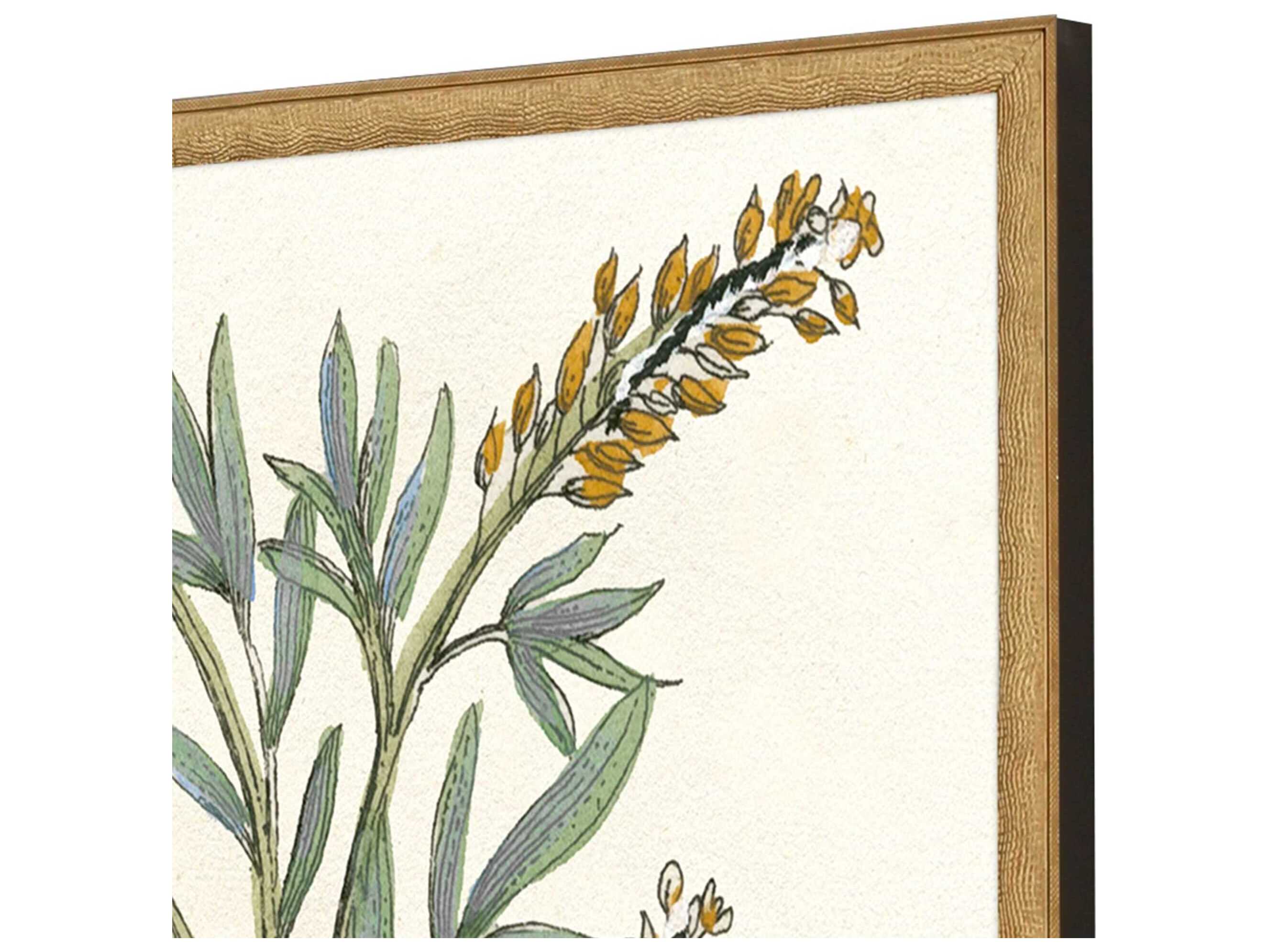 Paragon Florals Botanical Plants-III Wall Art Set of 2