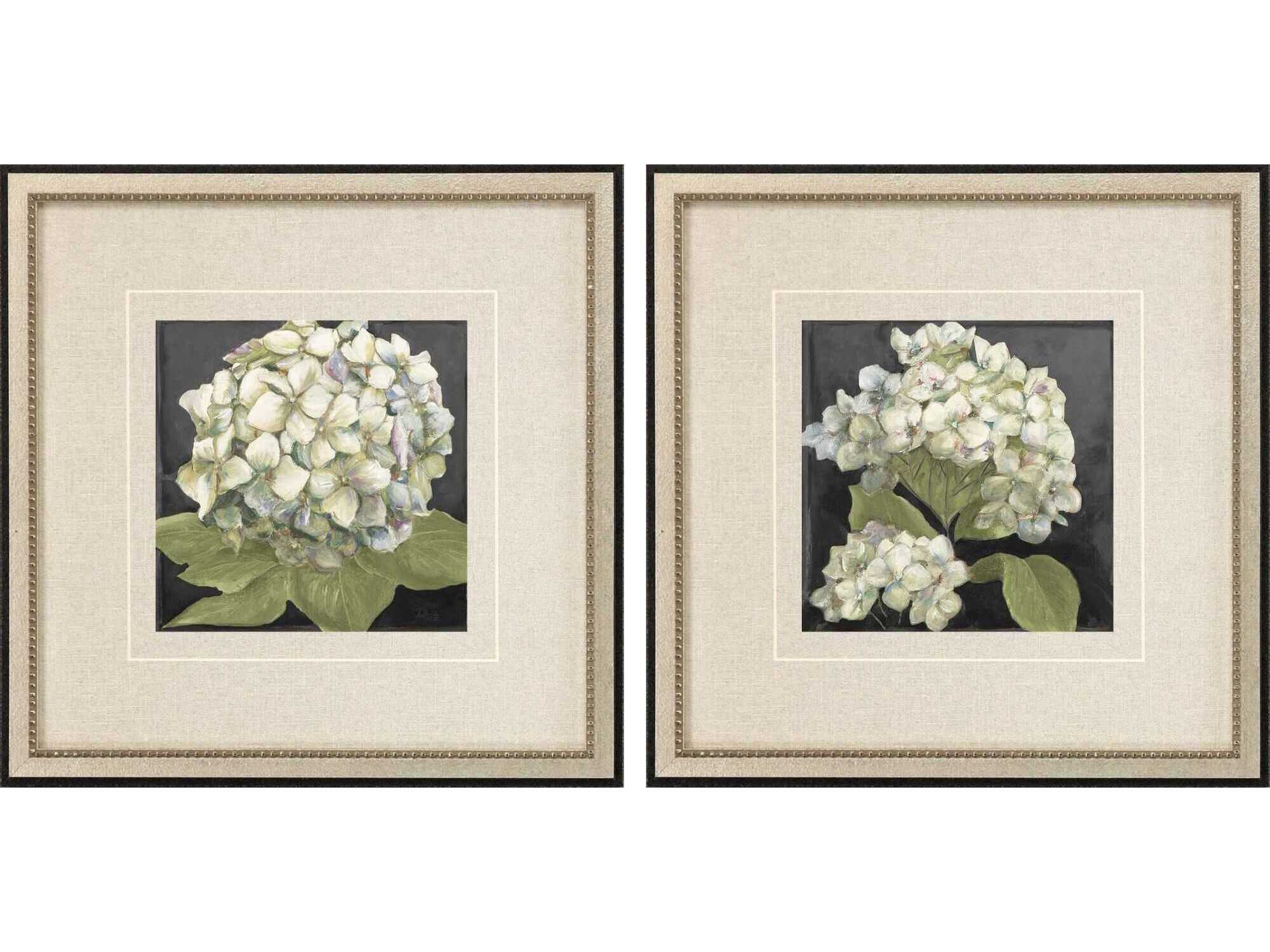 Paragon Florals Hydrangeas on Black Wall Art Set of 2