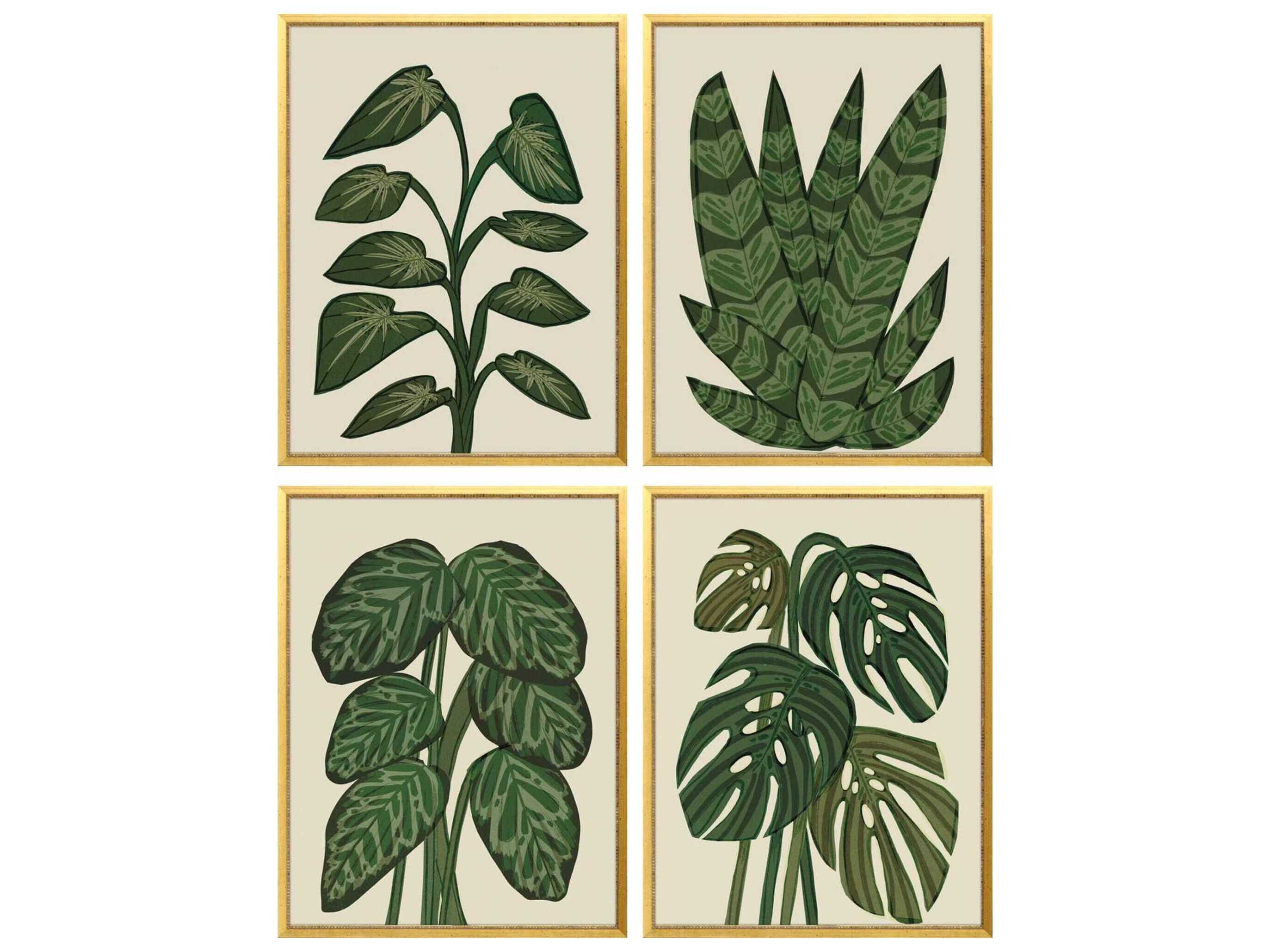 Paragon Florals Tropical Abundance Wall Art Set of 4