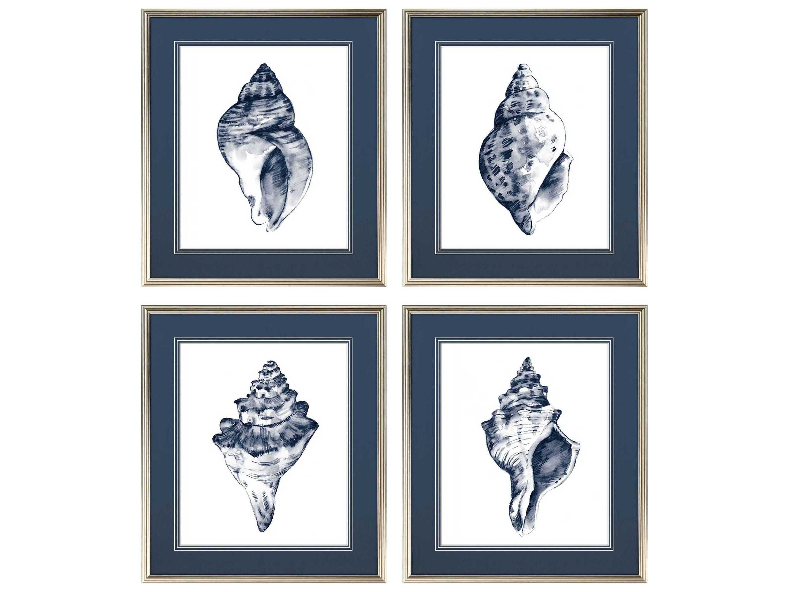 Paragon Naturals Quiet Conch Wall Art Set of 4