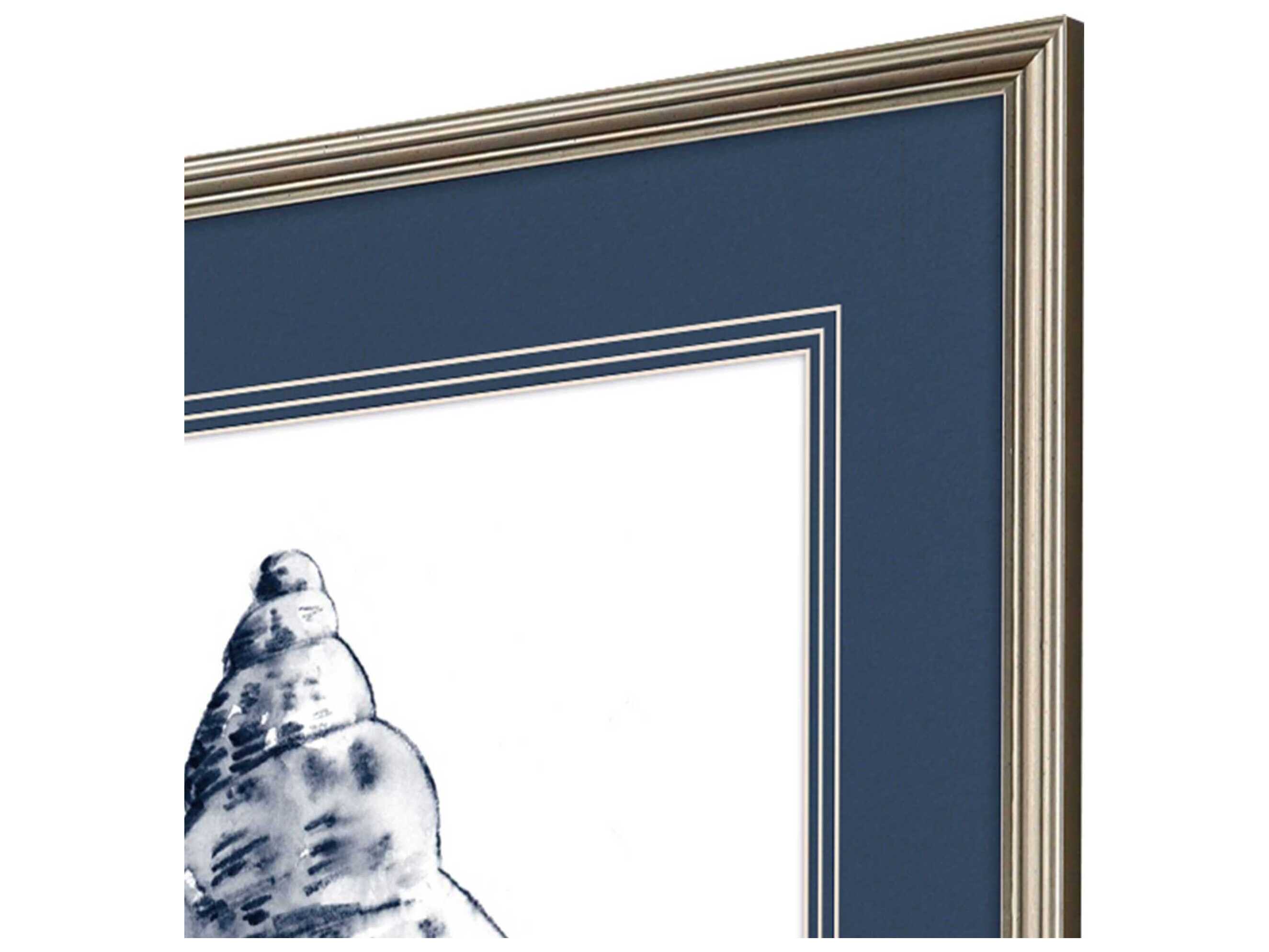 Paragon Naturals Quiet Conch Wall Art Set of 4