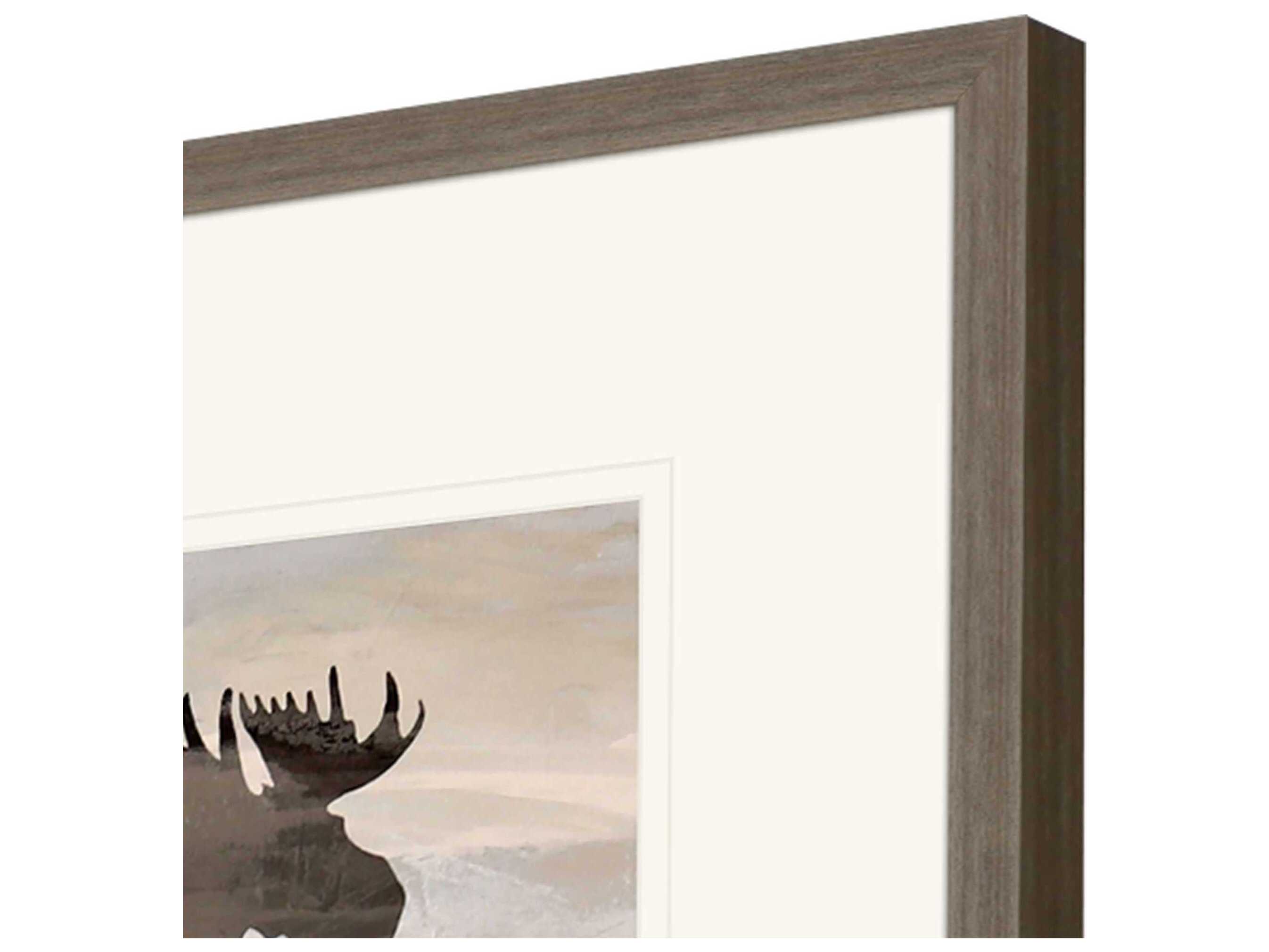 Paragon Wilderness Explorer Wall Art Set of 4