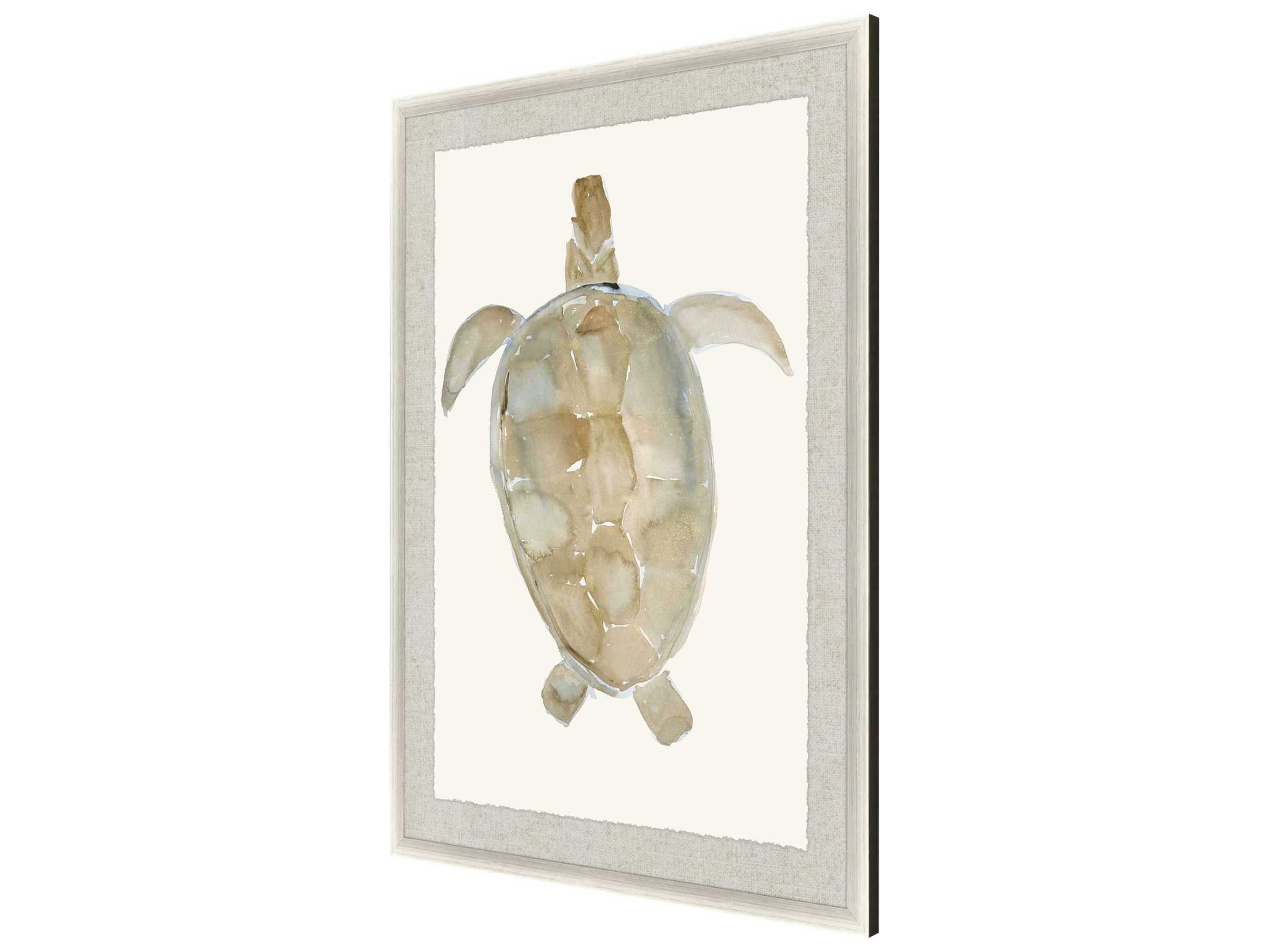 Paragon Neutral Turtle-I Wall Art