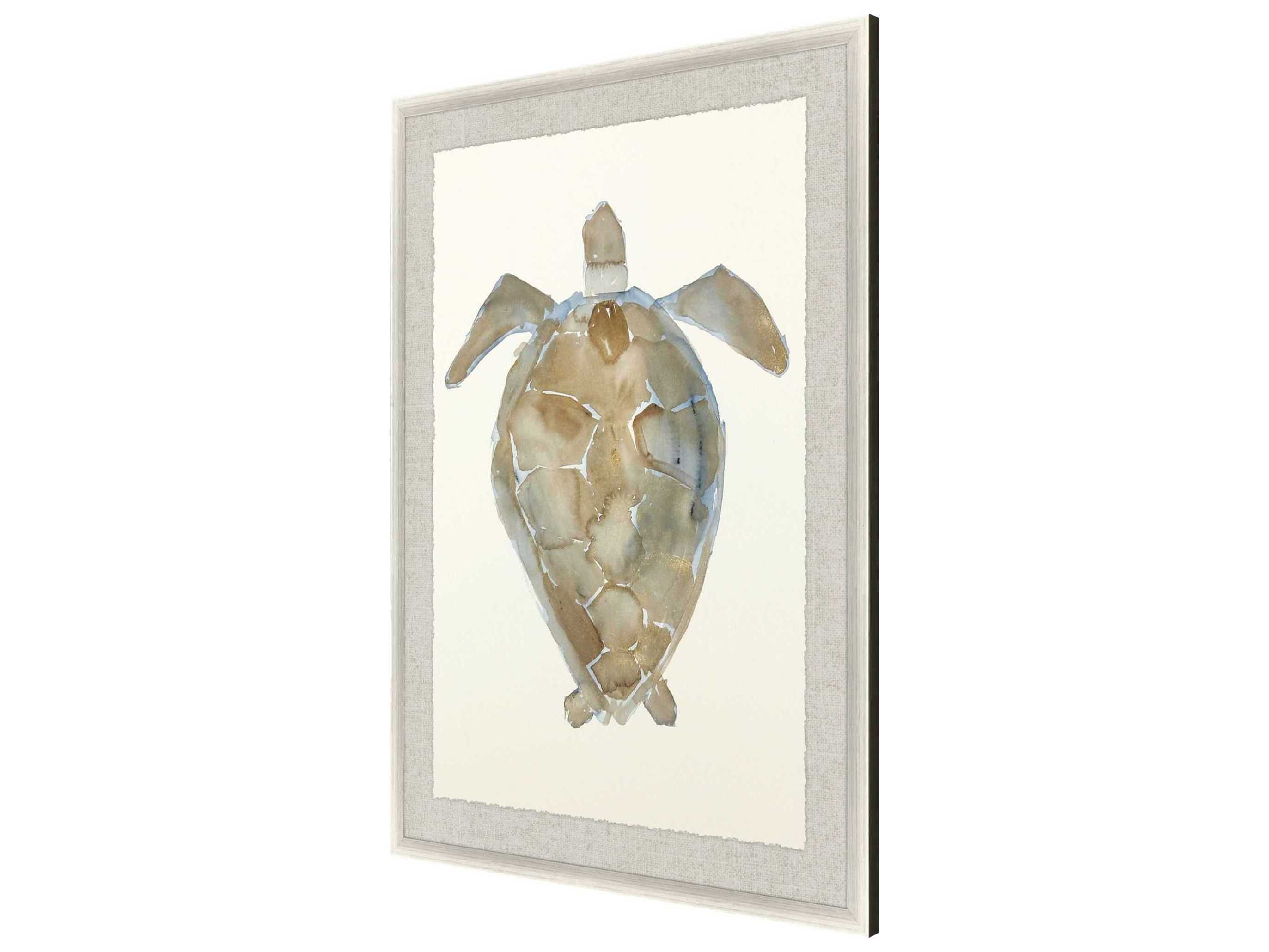 Paragon Neutral Turtle-II Wall Art