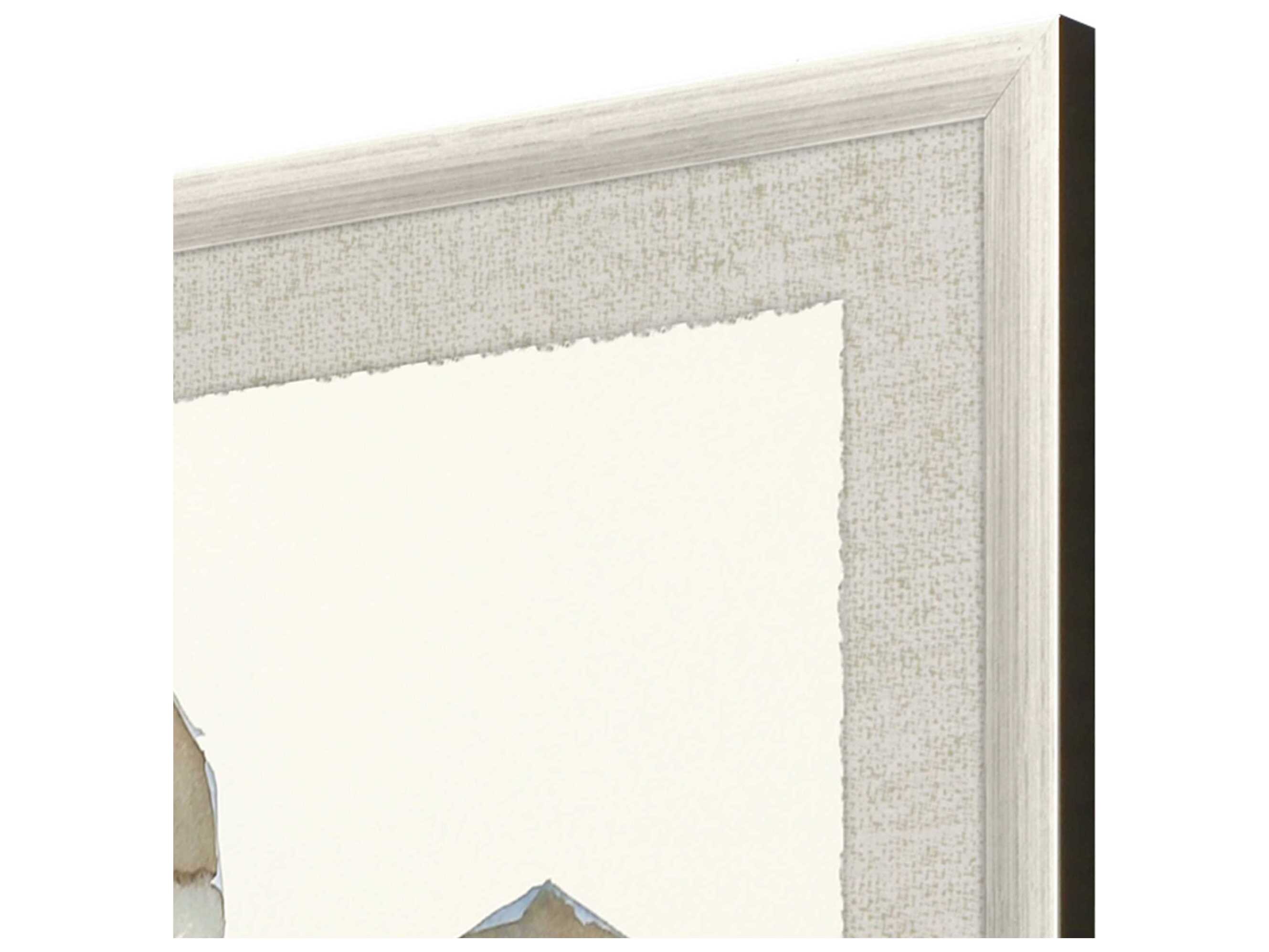 Paragon Neutral Turtle-II Wall Art