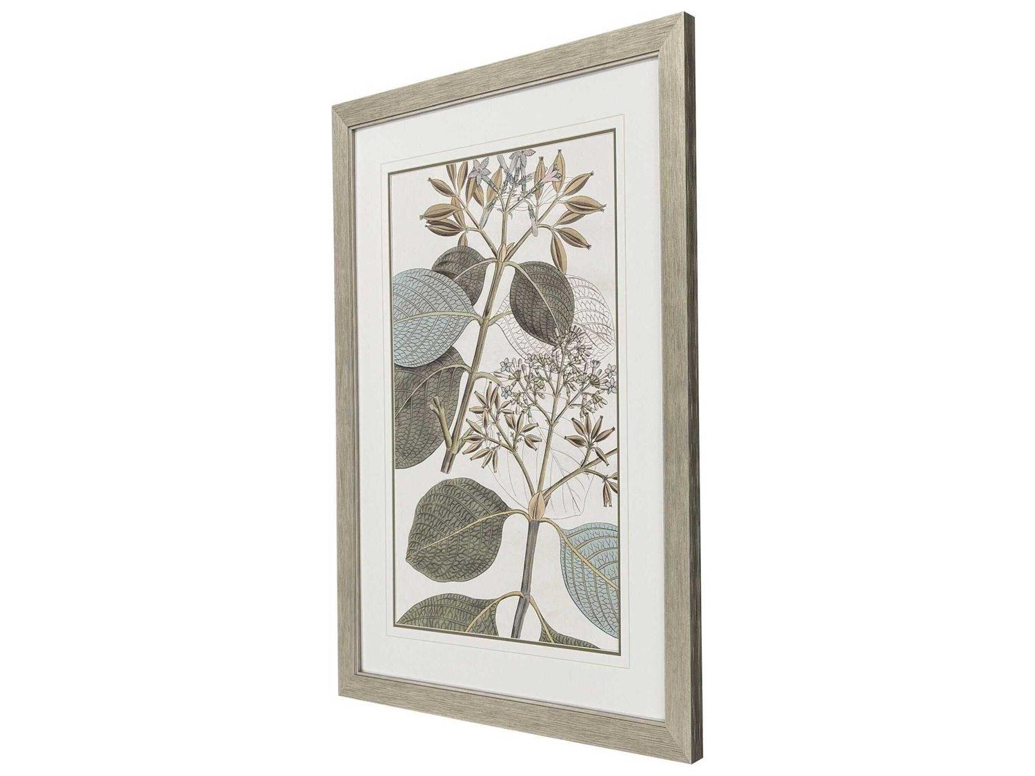 Paragon Florals Flowering Botanical-I Wall Art