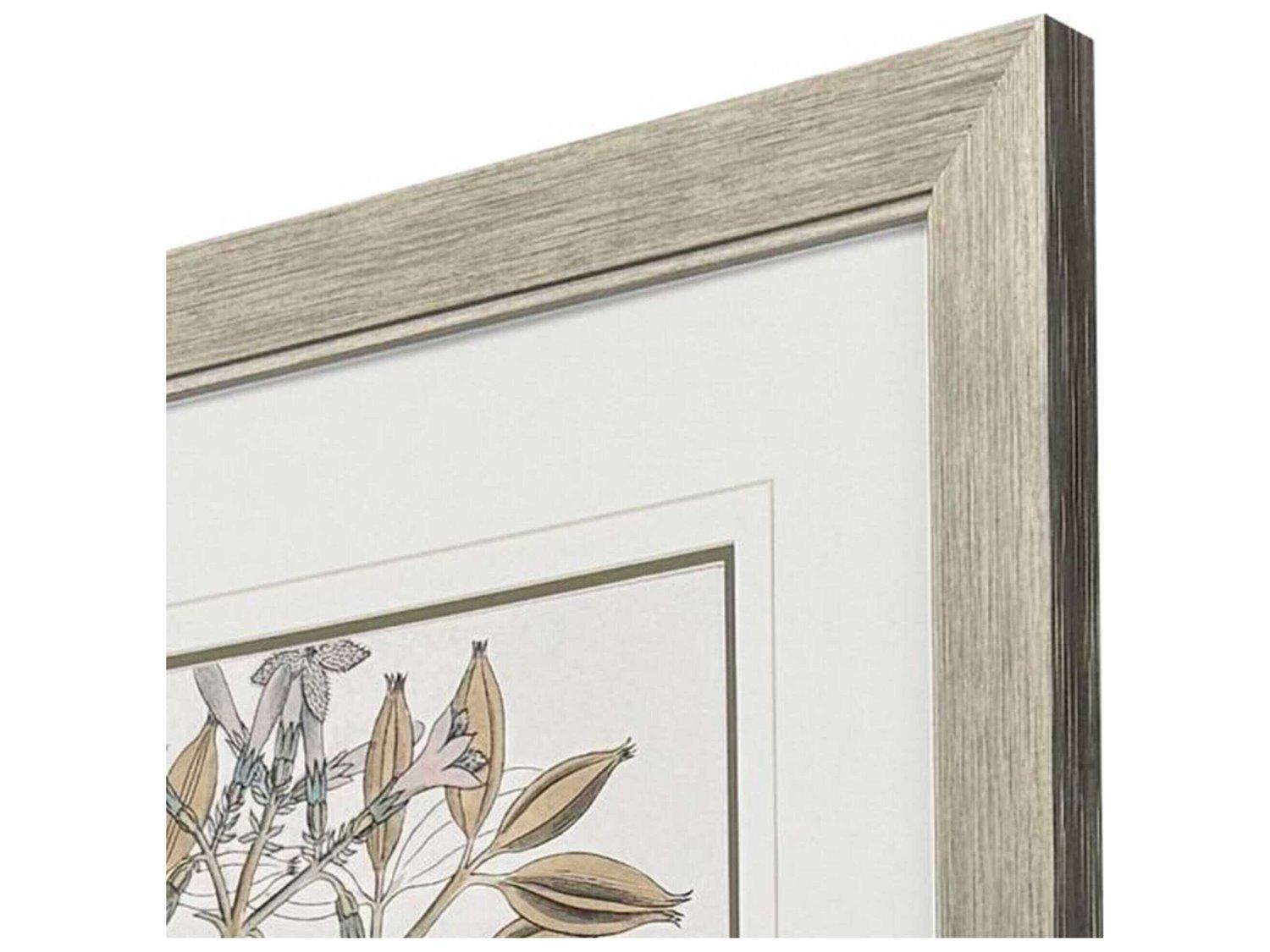 Paragon Florals Flowering Botanical-I Wall Art