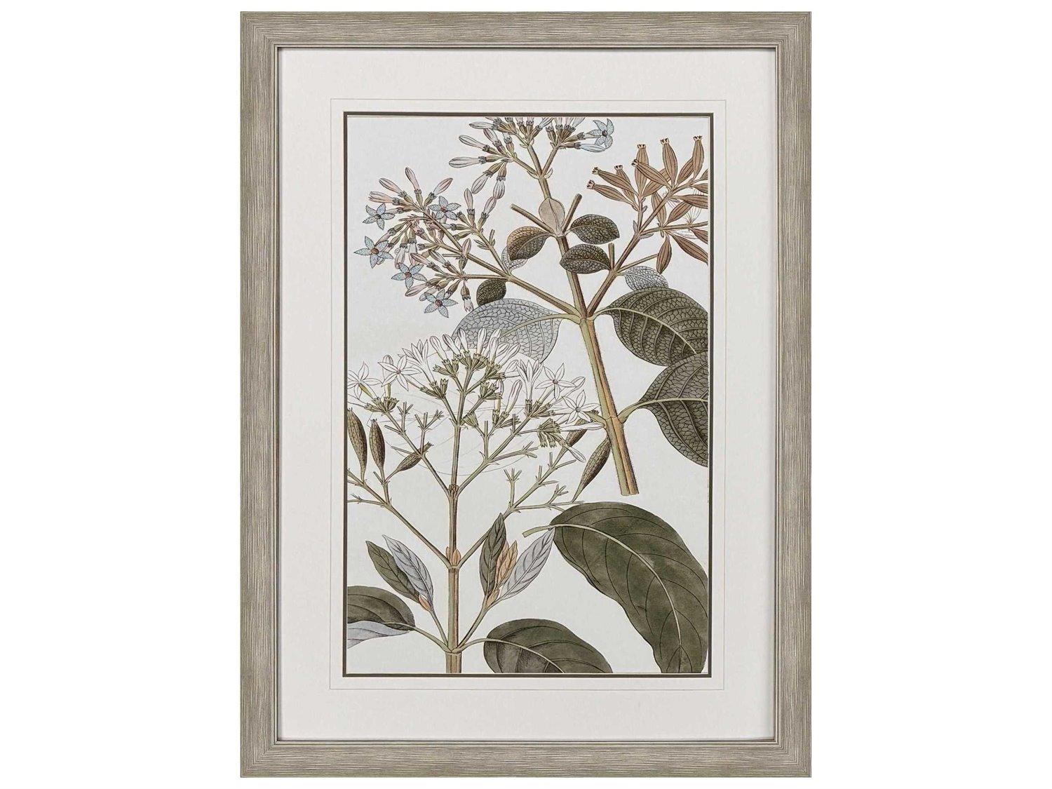 Paragon Florals Flowering Botanical-II Wall Art
