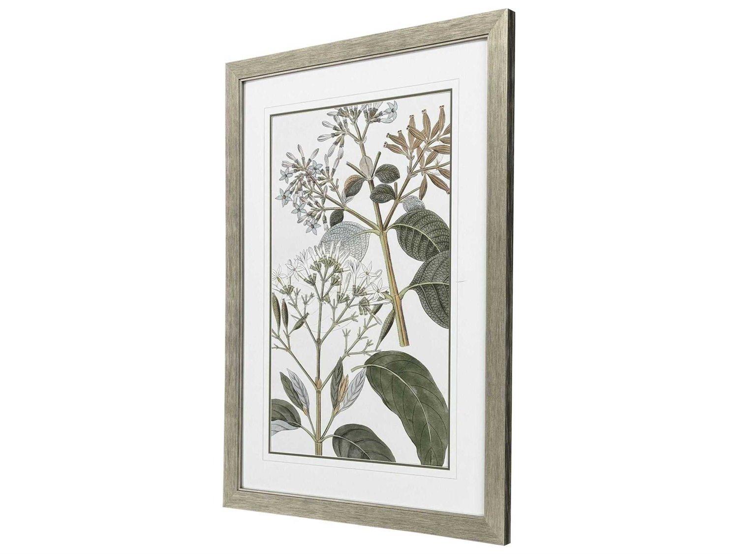 Paragon Florals Flowering Botanical-II Wall Art