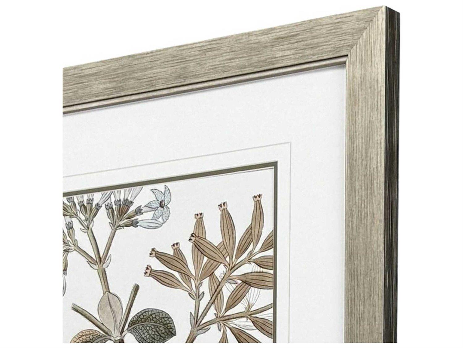 Paragon Florals Flowering Botanical-II Wall Art