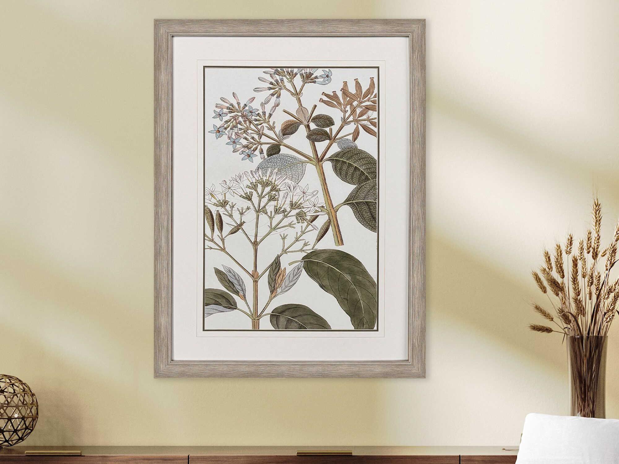 Paragon Florals Flowering Botanical-II Wall Art