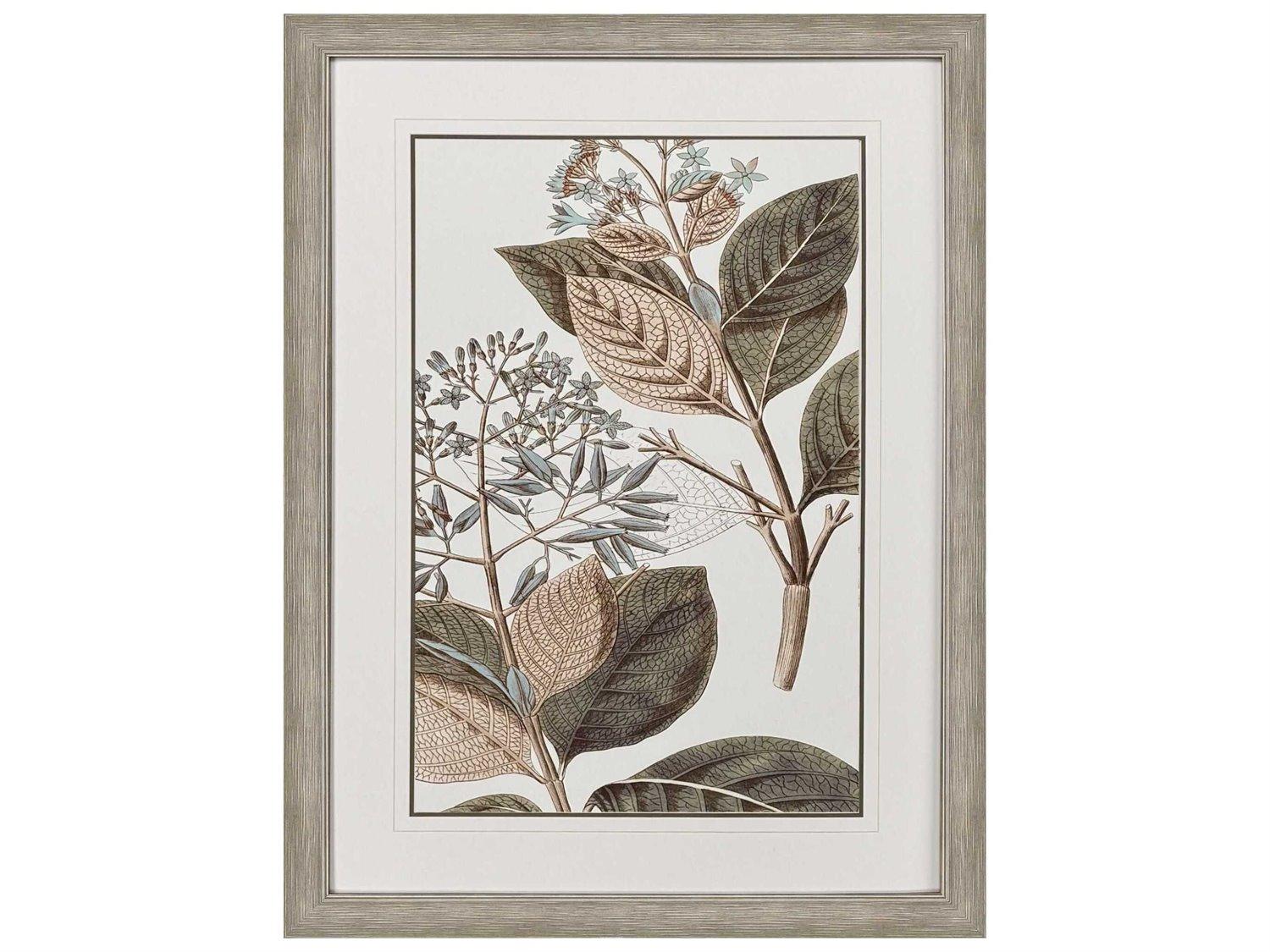 Paragon Florals Flowering Botanical-III Wall Art