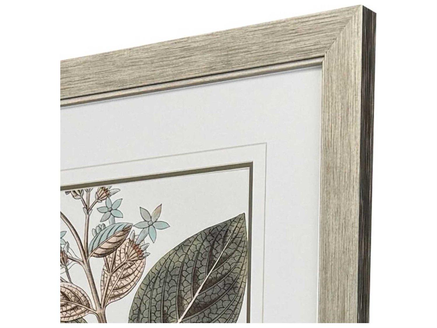 Paragon Florals Flowering Botanical-III Wall Art