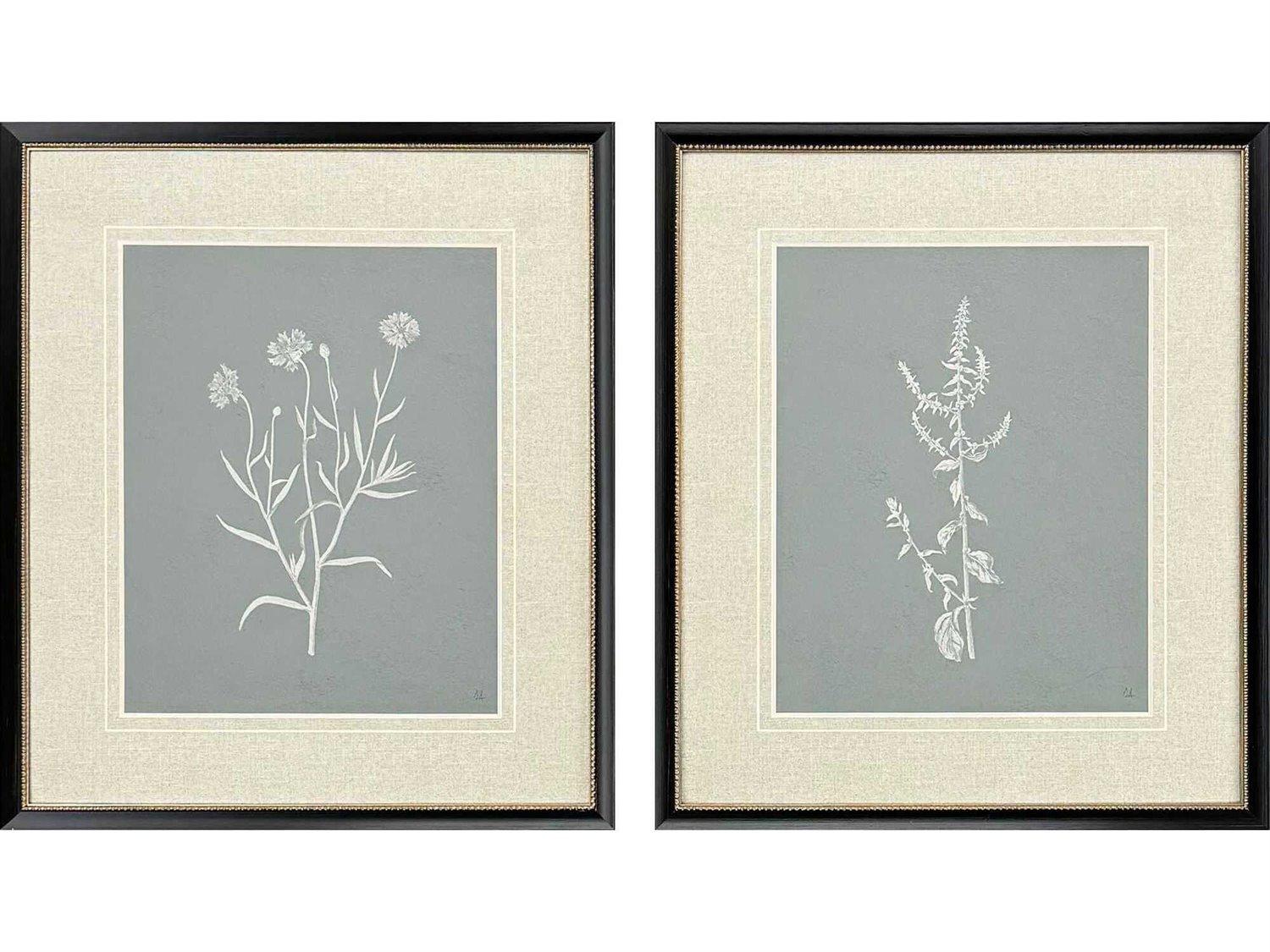 Paragon Florals Nature's Gift-II Wall Art Set of 2