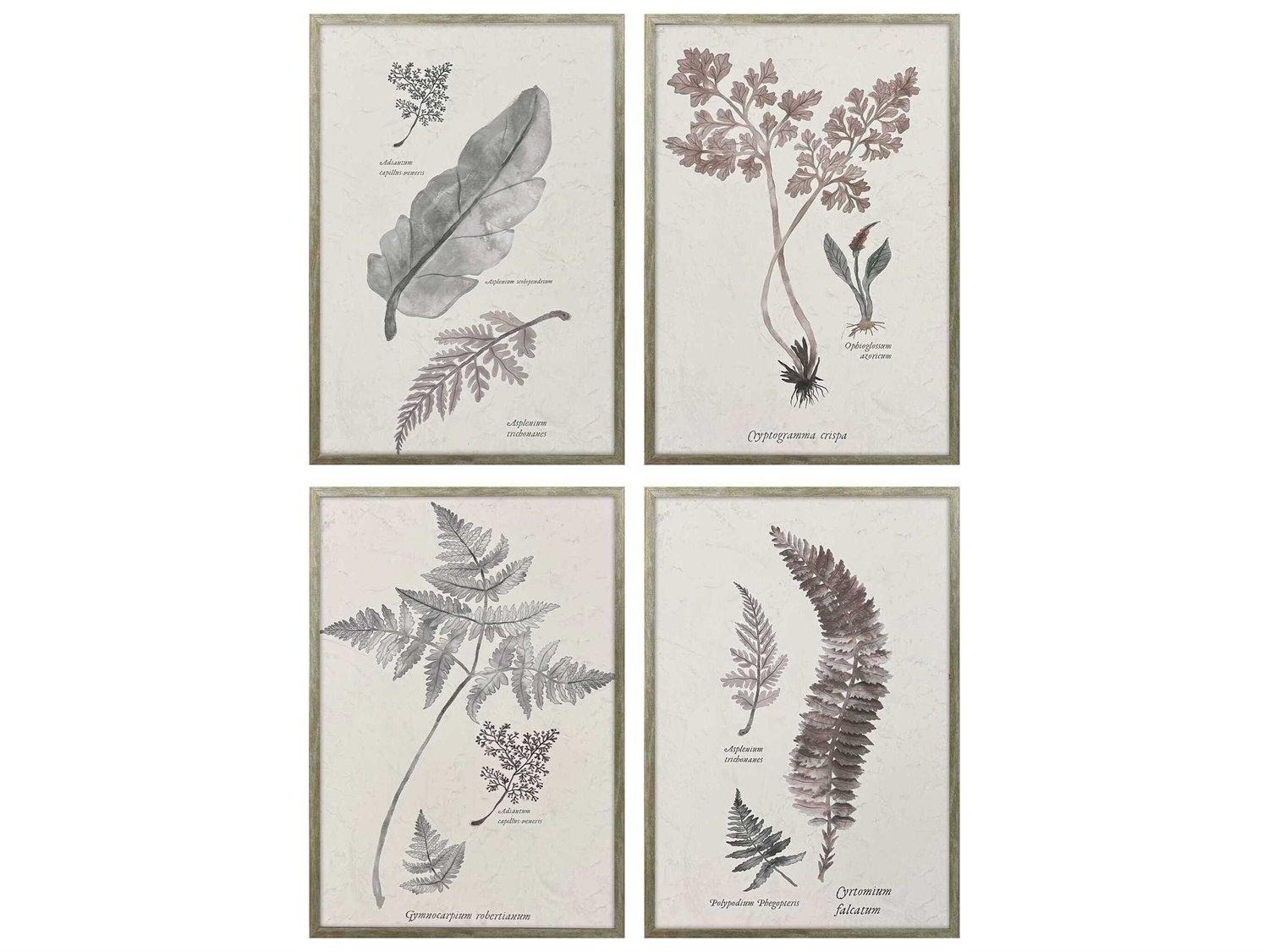 Paragon Florals Fern Study Wall Art Set of 4