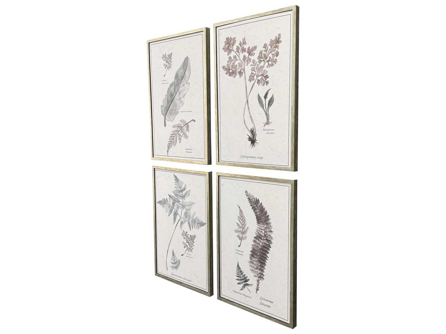 Paragon Florals Fern Study Wall Art Set of 4
