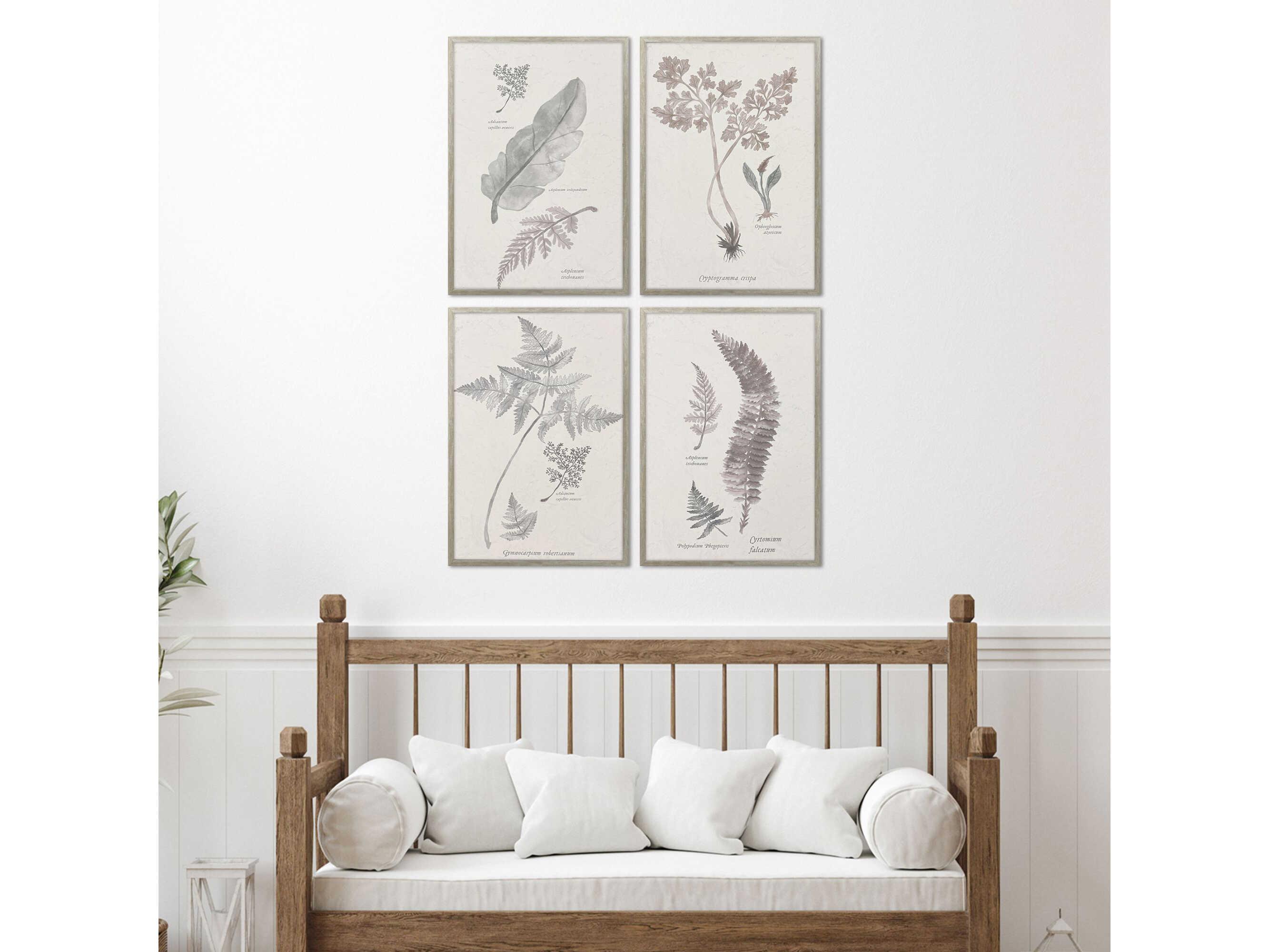 Paragon Florals Fern Study Wall Art Set of 4