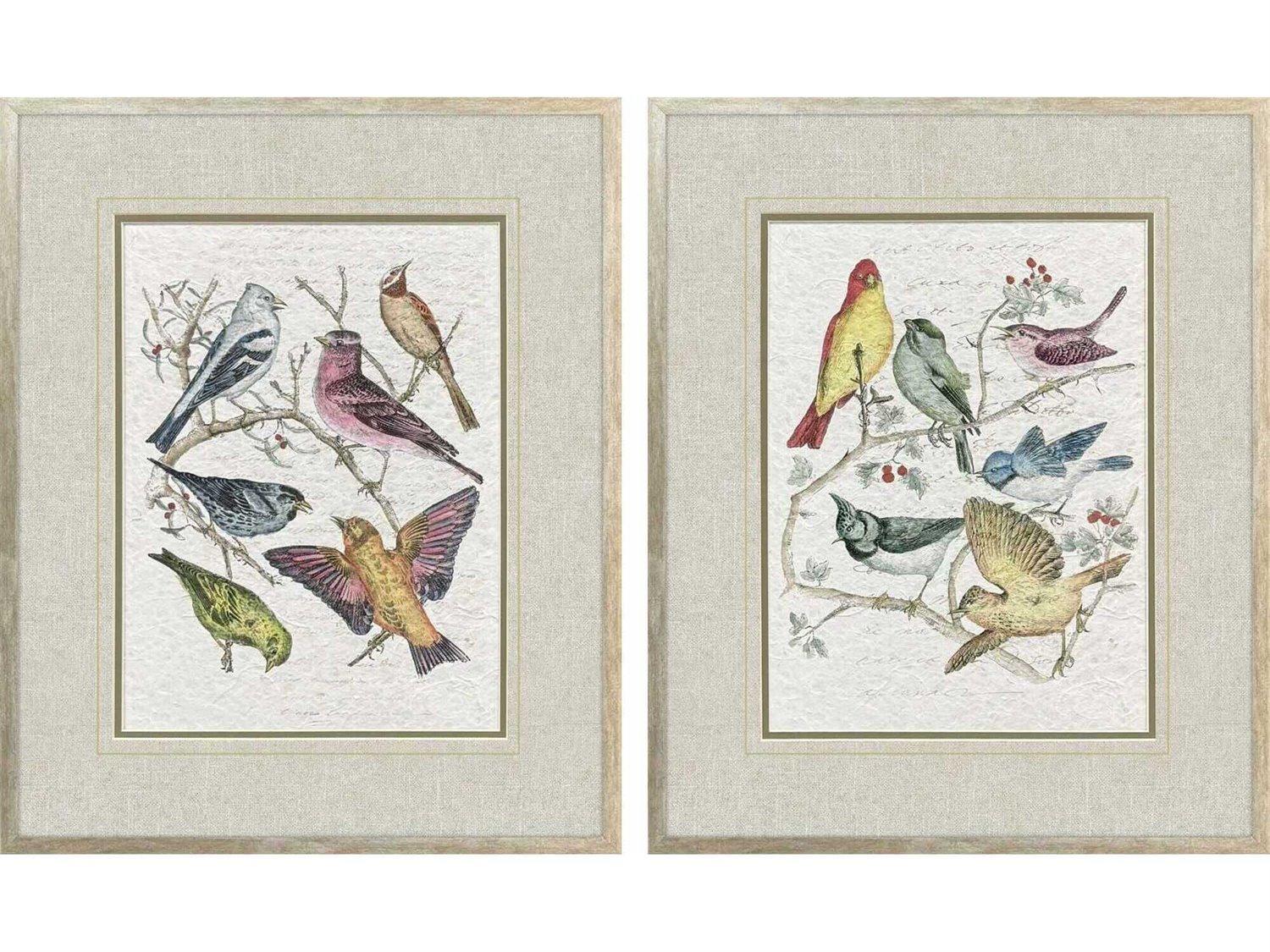 Paragon Animals Bird Variety Wall Art Set of 2